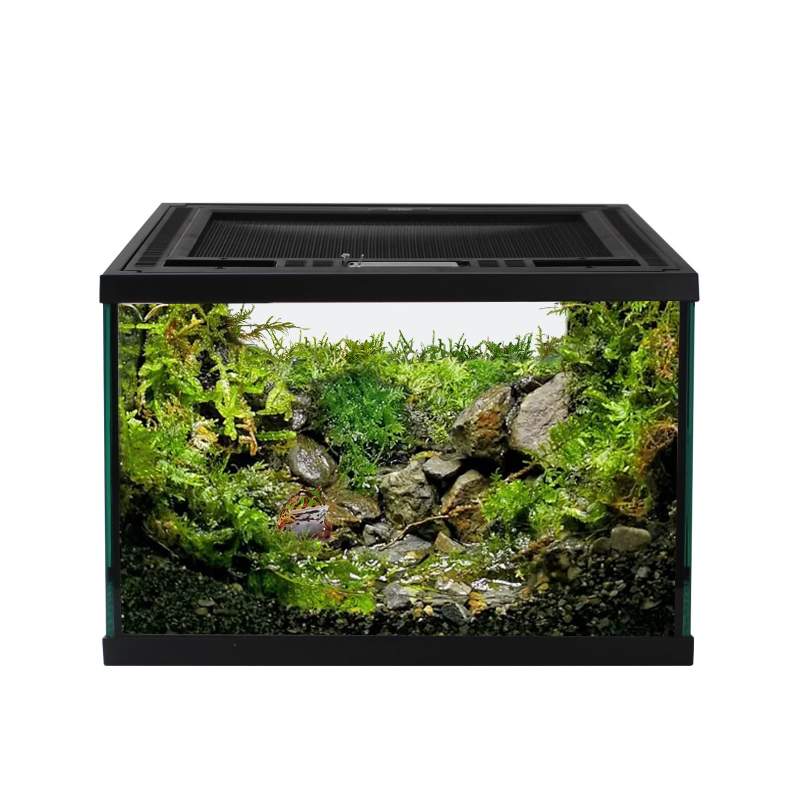 waazoorep Reptile Glass Terrarium Tank 12 * 12 * 8 Full View with Top Ventilation, Amphibians Box Habitat Enclosure Cage for Fro