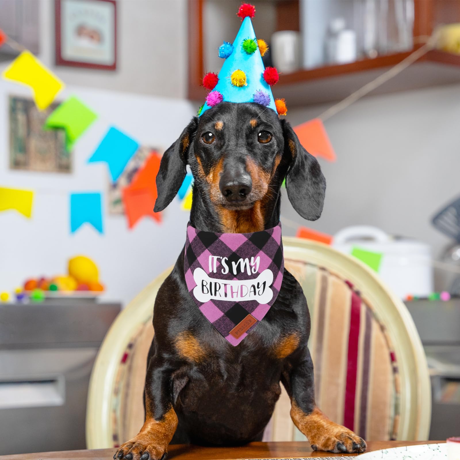 PTDECOR Dog Birthday Party Supplies, Its My Birthday Scarf Pink Plaid Girl Bandana for Medium Large Dogs (Pink, Large)