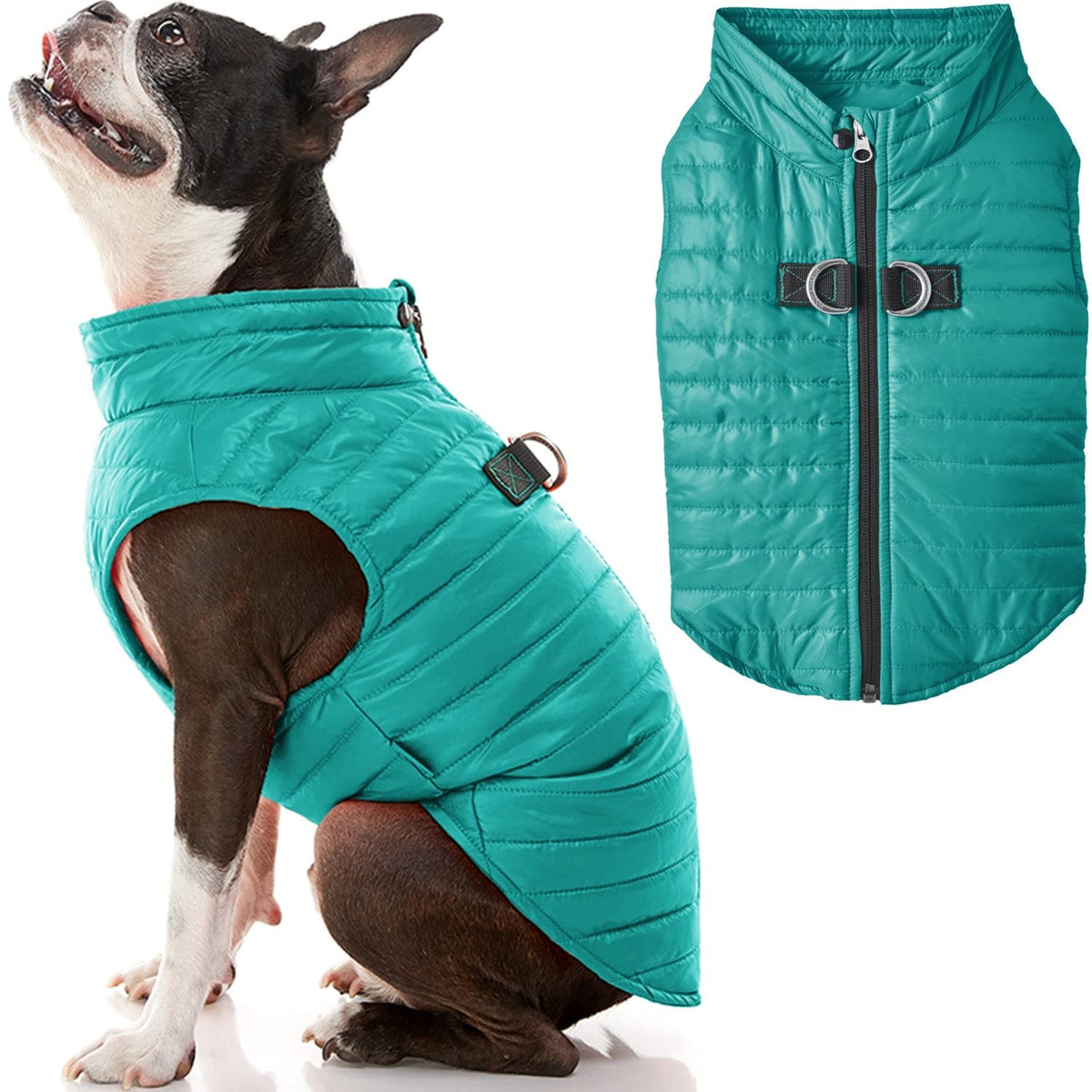 Gooby Puffer Vest Dog Jacket - Turquoise, Medium - Ultra Thin Zip Up Wind Breaker With Dual D Ring Leash - Water Resistant Small Dog Sweater Coat - Dog Clothes For Small Dogs Boy Or Medium Dogs