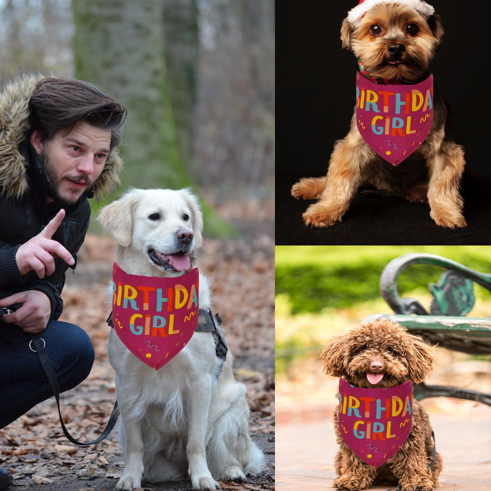 Lcekterur Dog Birthday Party Supplies Dog Birthday Girl Bandana Happy Birthday Party Supplies Triangle Dog Birthday Scarf Access