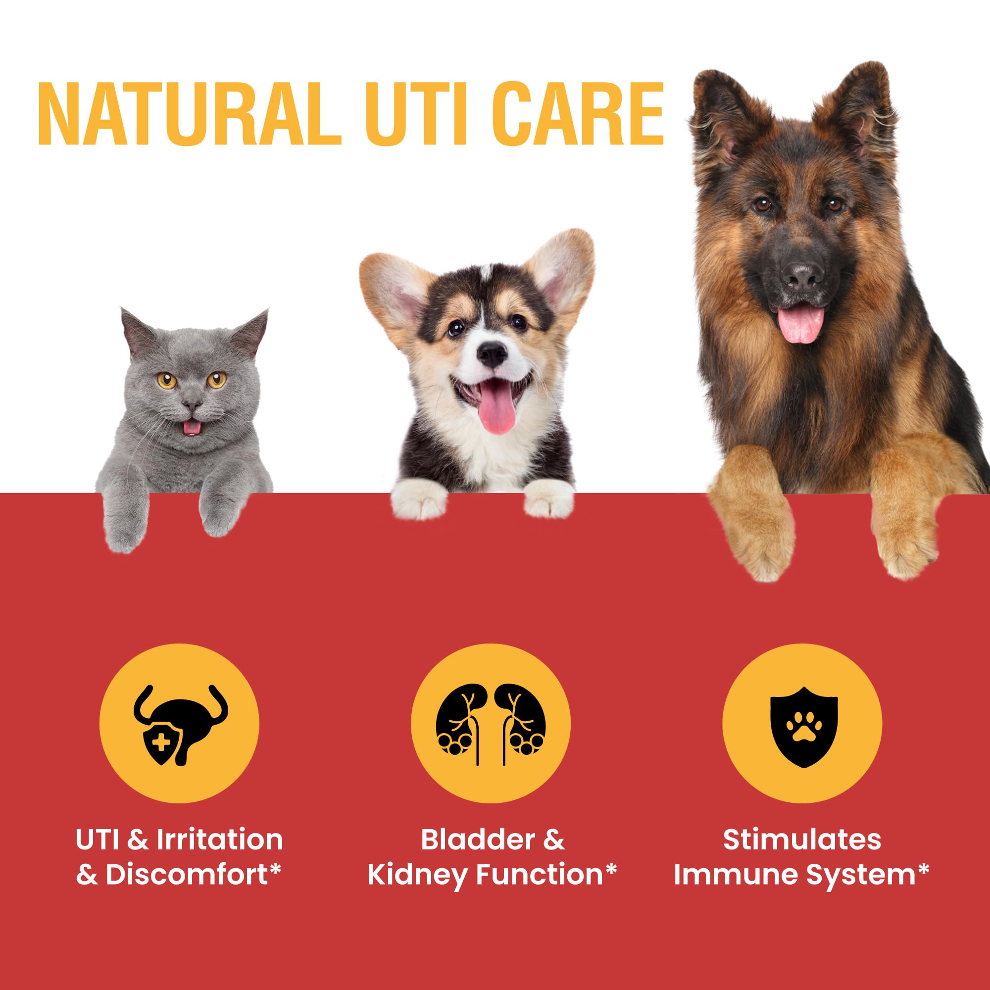 Special Breed Urinary Tract Infection Treatment for Cats and Dogs - Cranberry UTI Supplement, Kidney and Bladder Support, 4 oz