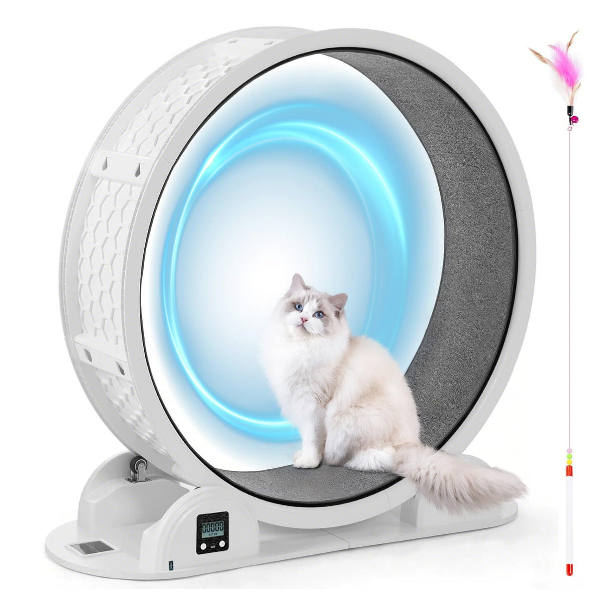 Lotfun 41    Cat Exercise Wheel With Pedometer, Running Wheel For Indoor Cats, 10 Minutes Fast And Easy Installation, Cat Treadm