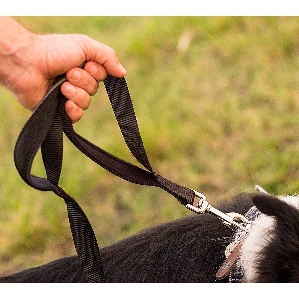 Dog Leash For Large Dogs, Traffic Padded 2 Handles For Extra Control, 6 Ft Long With Reflective Stitch For Night Walking Black