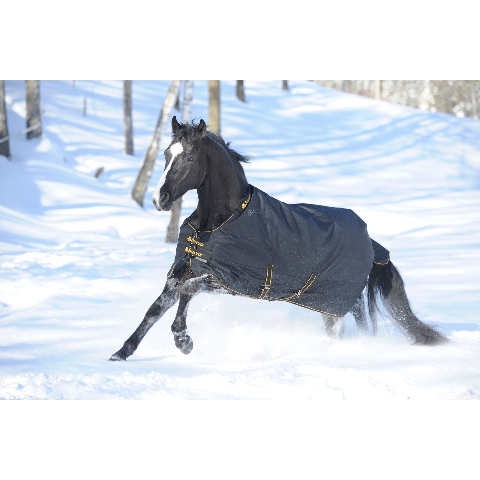 Bucas Irish Turnout Blanket Extra 300G 72