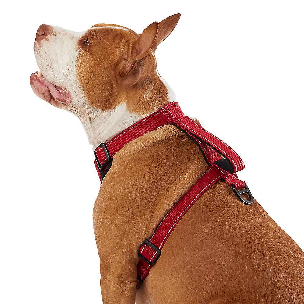 Kong Max Ultra Durable Neoprene Padded Chest Plate Dog Harness Offered By The Barker Company (Red, Small)