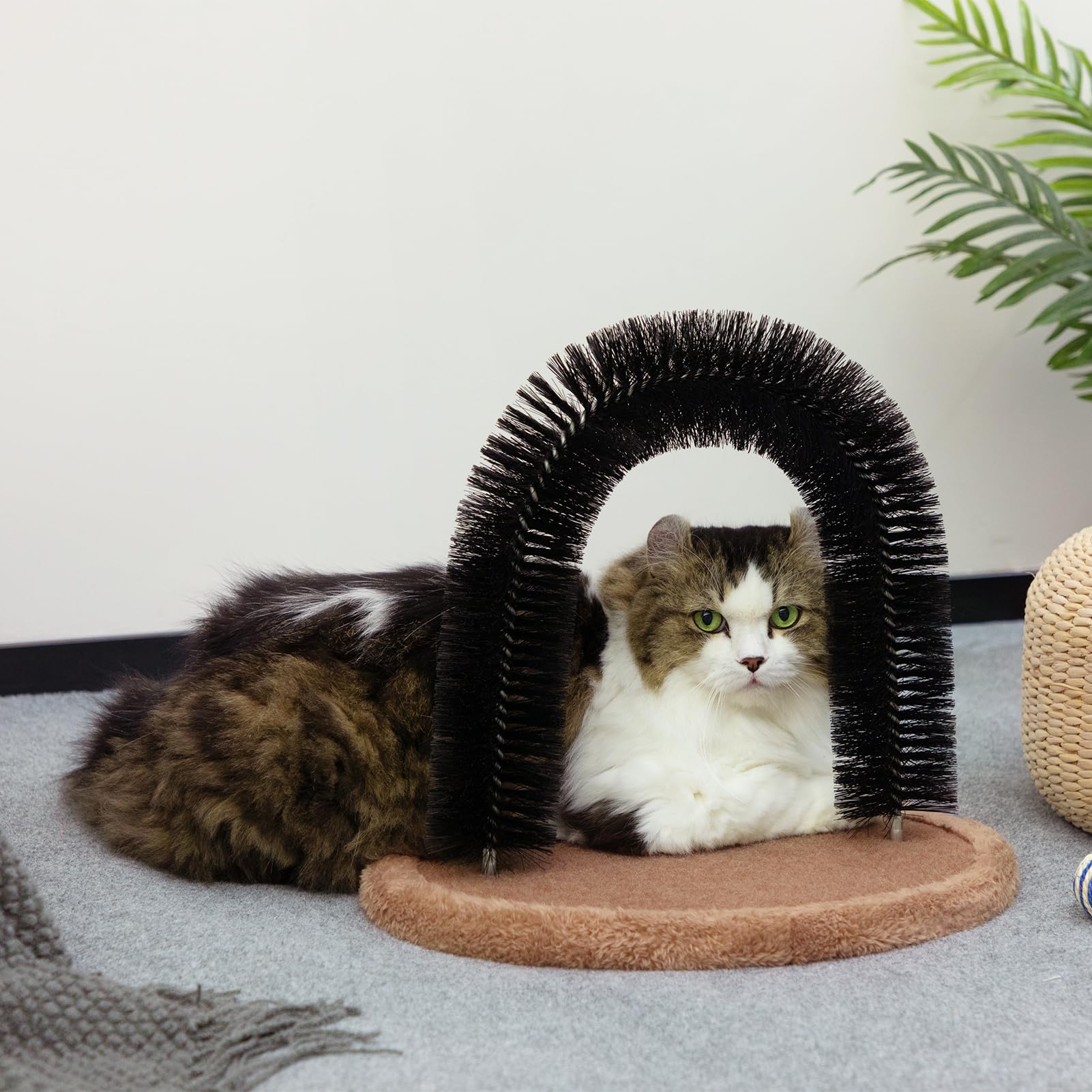 Hollypet Self Grooming Massager And Scratcher Toy - Cat Arch Brush For Back Grooming, Hair Cleaner Pads
