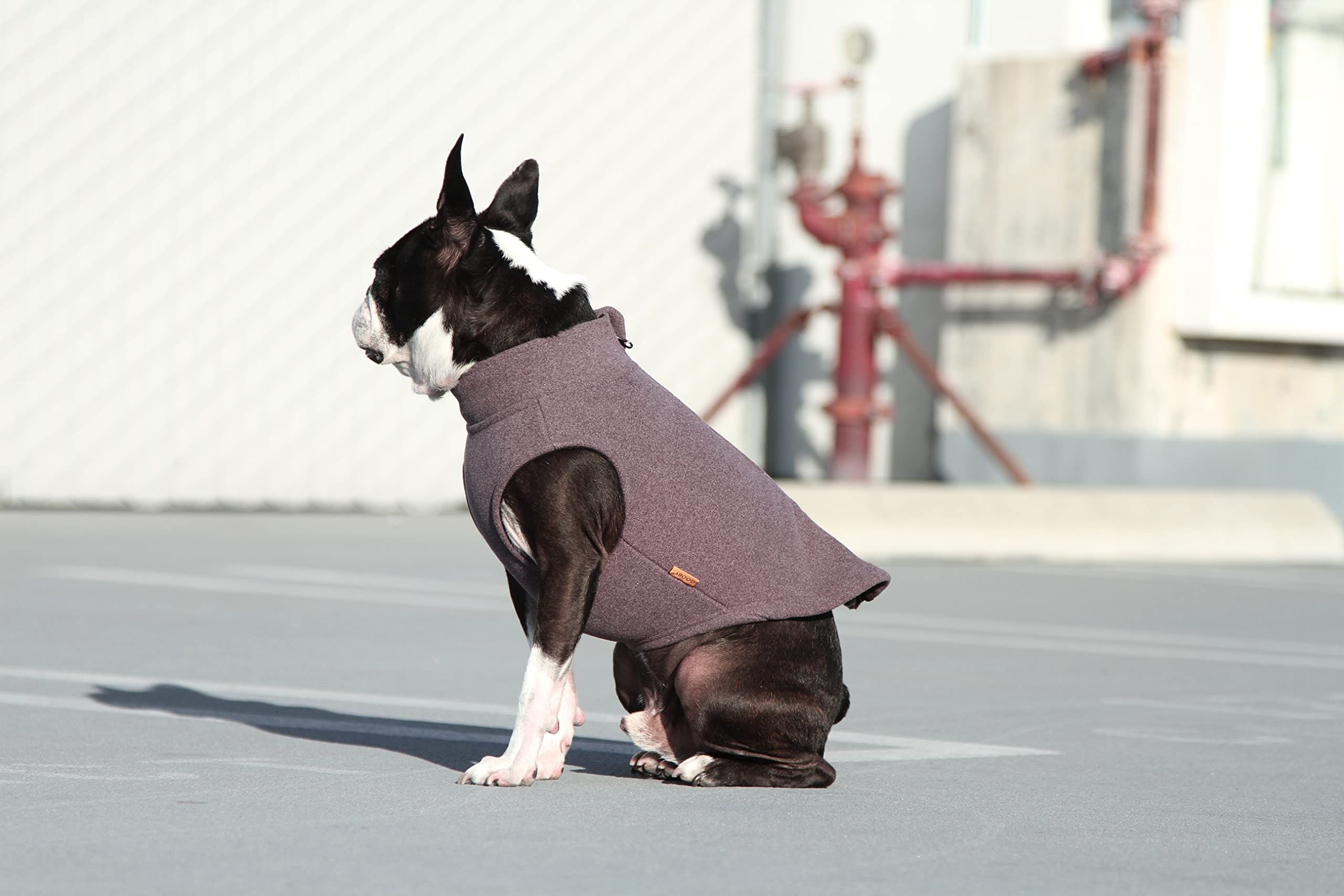 Gooby Zip Up Microfiber Fleece Dog Sweater - Purple, X-Small - Warm Double Layered Soft Microfiber Fleece Step-In Dog Jacket Without Ring Leash - Winter Dog Sweaters For Small Dogs And Medium Dogs