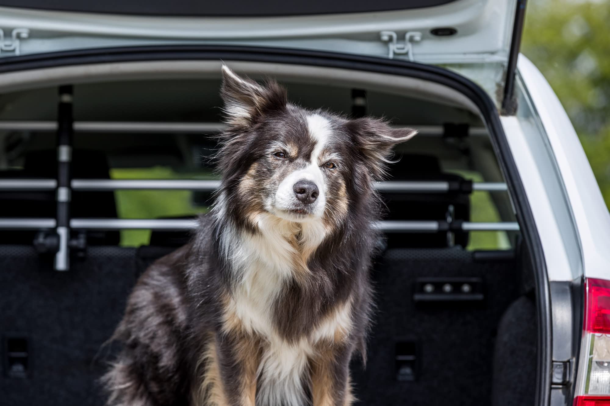 Trixie Pet Barrier For Vehicles, Dog Barrier For Cars And Suvs, Adjustable And Expandable, Aluminum, Medium,Silver/Black