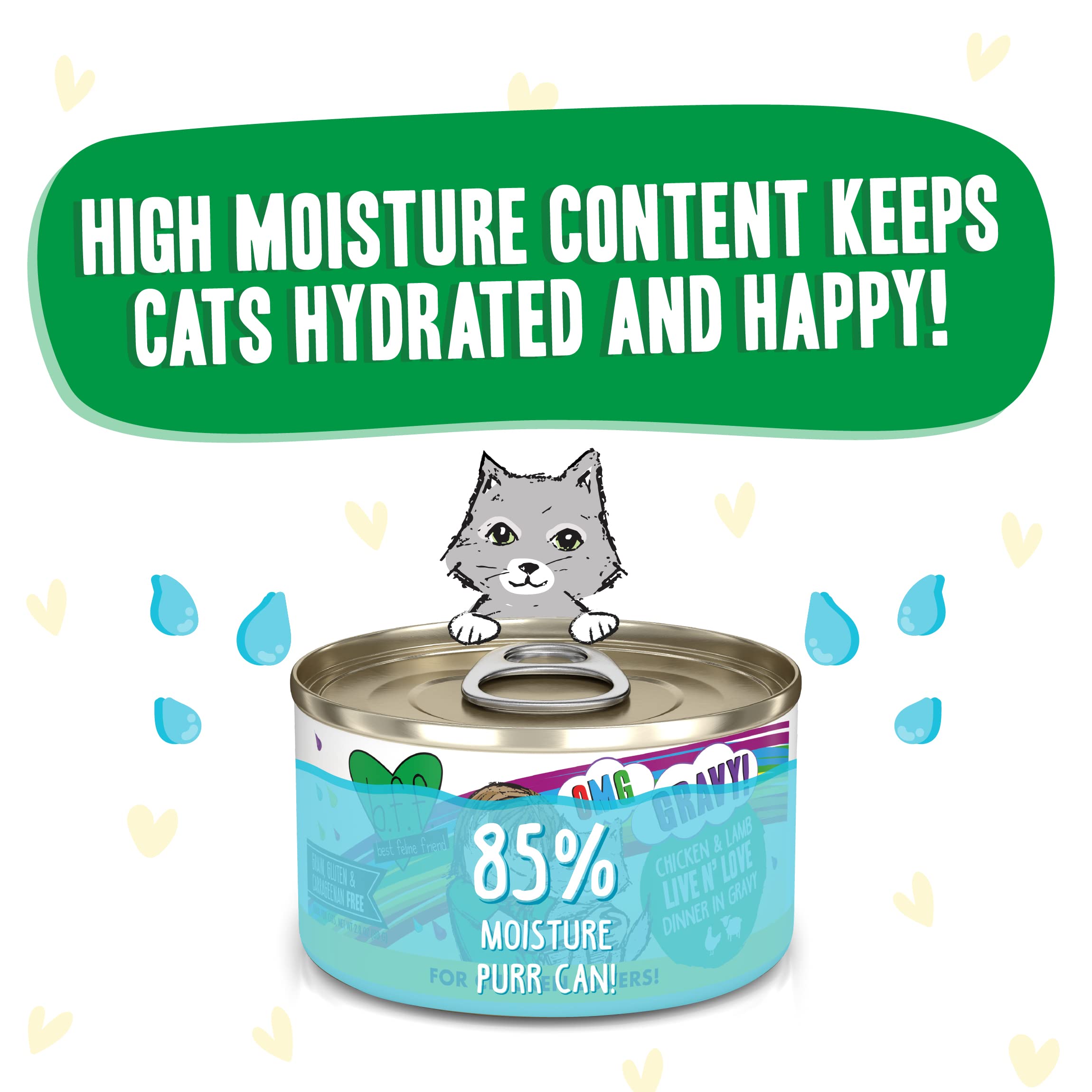 Weruva B.F.F. OMG - Best Feline Friend Oh My Gravy!, Chicken & Lamb Live N Love with Chicken & Lamb in Gravy, 2.8oz Can (Pack o