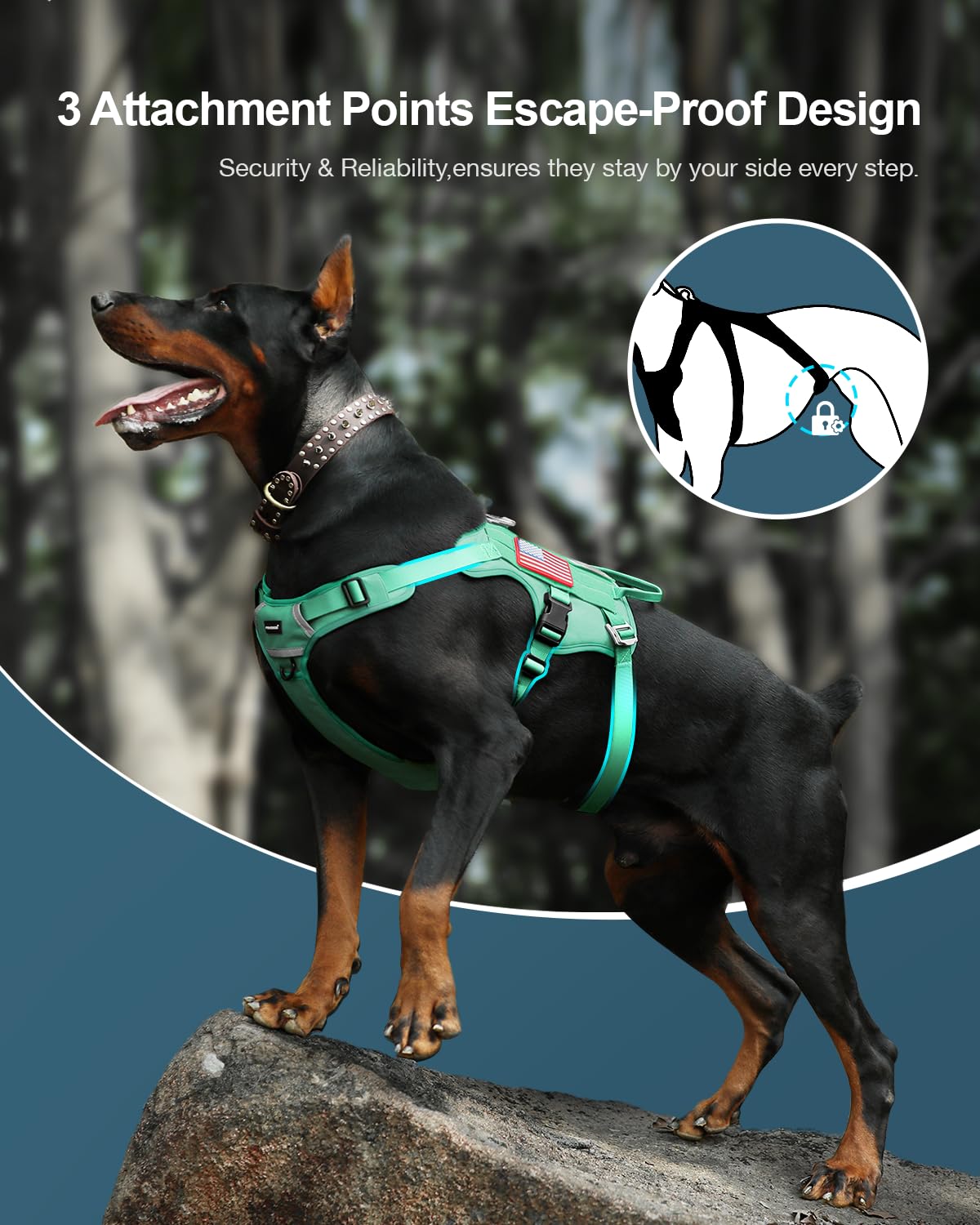 FAYOGOO Tactical Dog Harness for Medium Breed - Mesh Breathable Dog Harness Escape Proof with Handle - No Pull Military Service