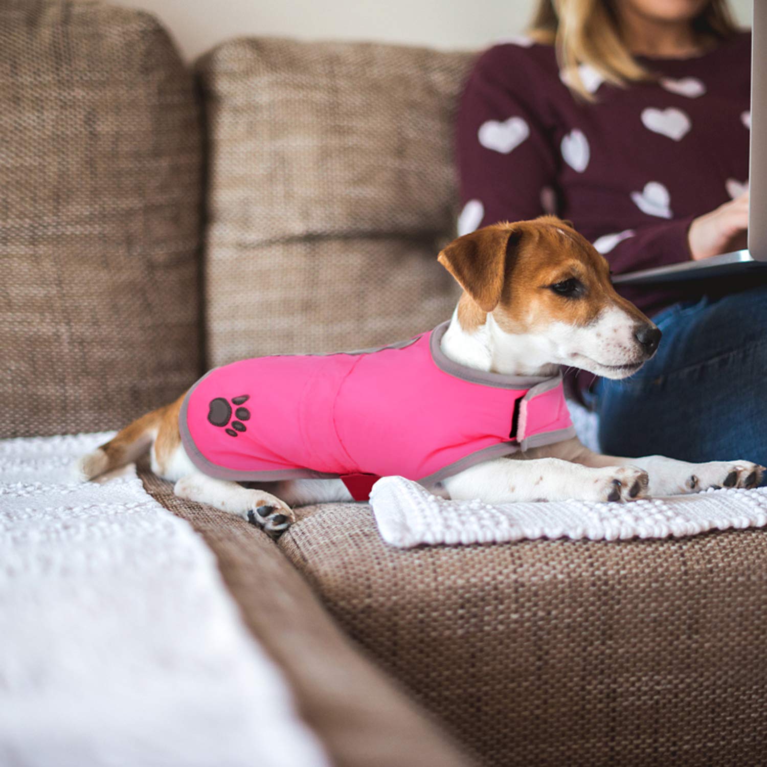 Queenmore Cold Weather Dog Coats Loft Reversible Winter Fleece Dog Vest Waterproof Pet Jacket Available In Extra Small, Small, Medium, Large Extra Large Sizes