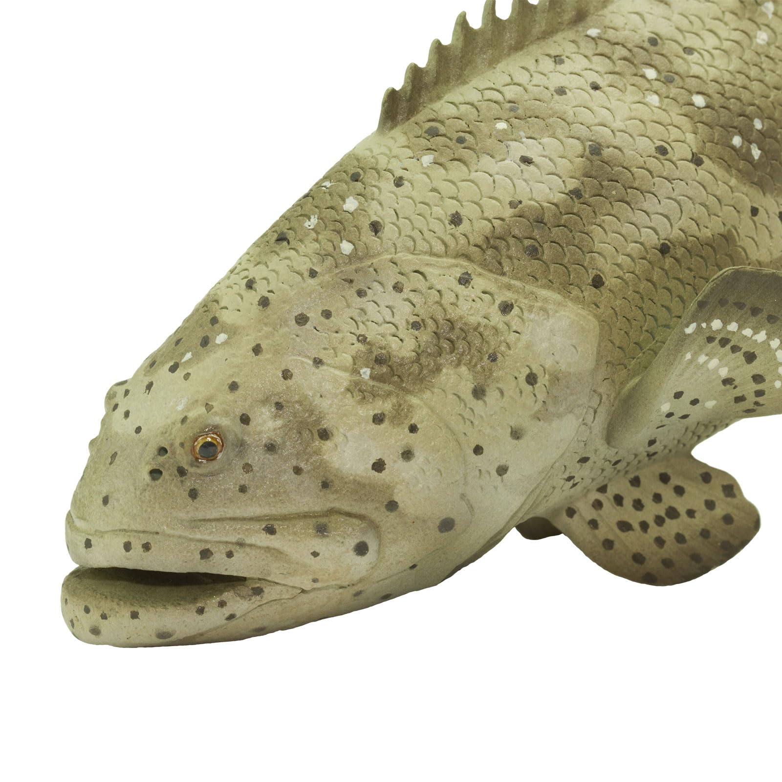 Safari Ltd. Goliath Grouper Figurine - 5.75" Detailed Plastic Model - Multicolor Educational Toy for Kids Ages 3+