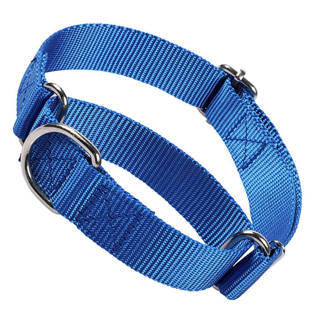 Martingale Dog Collar For Small Dogs, Escape Proof Dog Choke Collar No Pull Cinch Dog Training Collars Adjustable For Small Medi