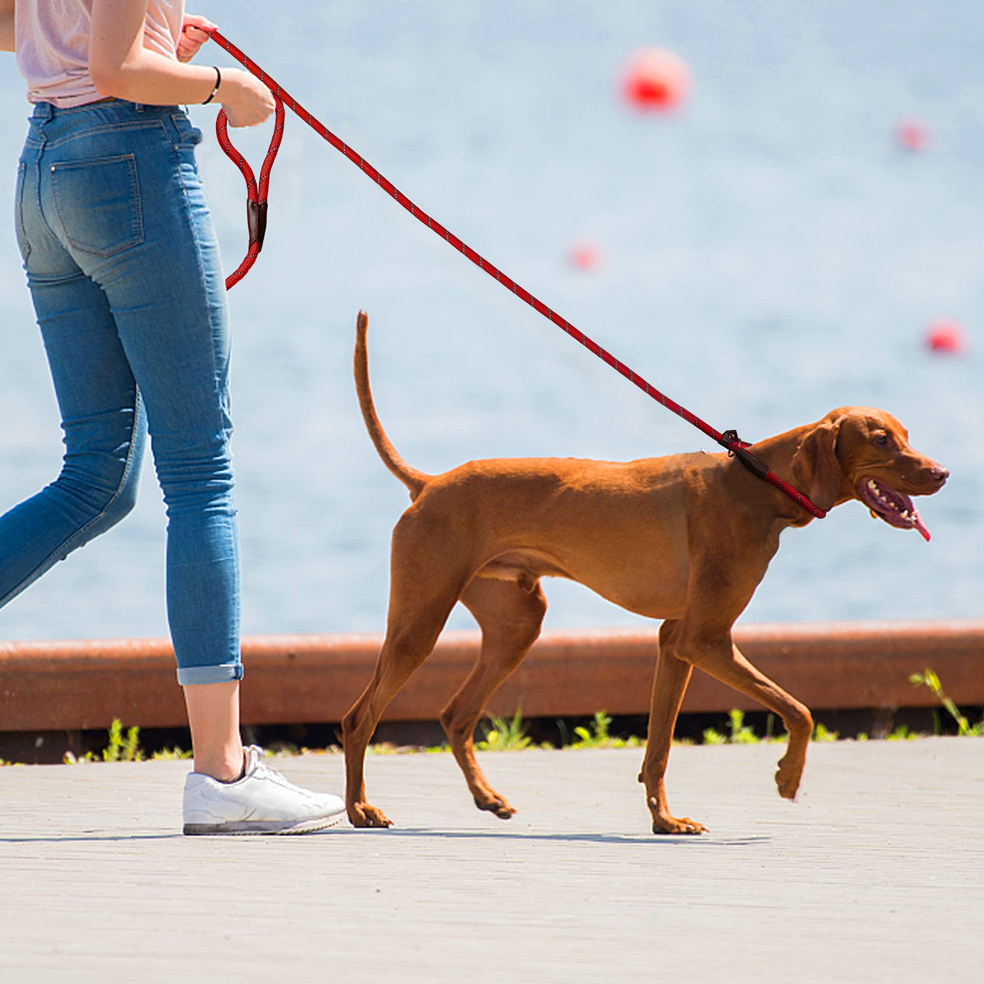 Twoear Dog Leash Dog Slip Rope Leash 6Ft Dog Training Leash Heavy Duty Strong Slip Lead Highly Reflective Threads For Small Medium And Large Dogs (Slim(3/8''X6Ft), Red)