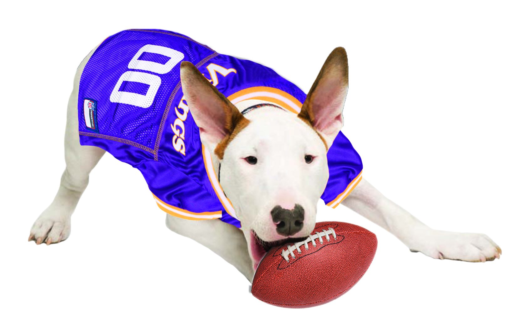 Nfl Minnesota Vikings Dog Jersey, Size: X-Large. Best Football Jersey Costume For Dogs & Cats. Licensed Jersey Shirt.