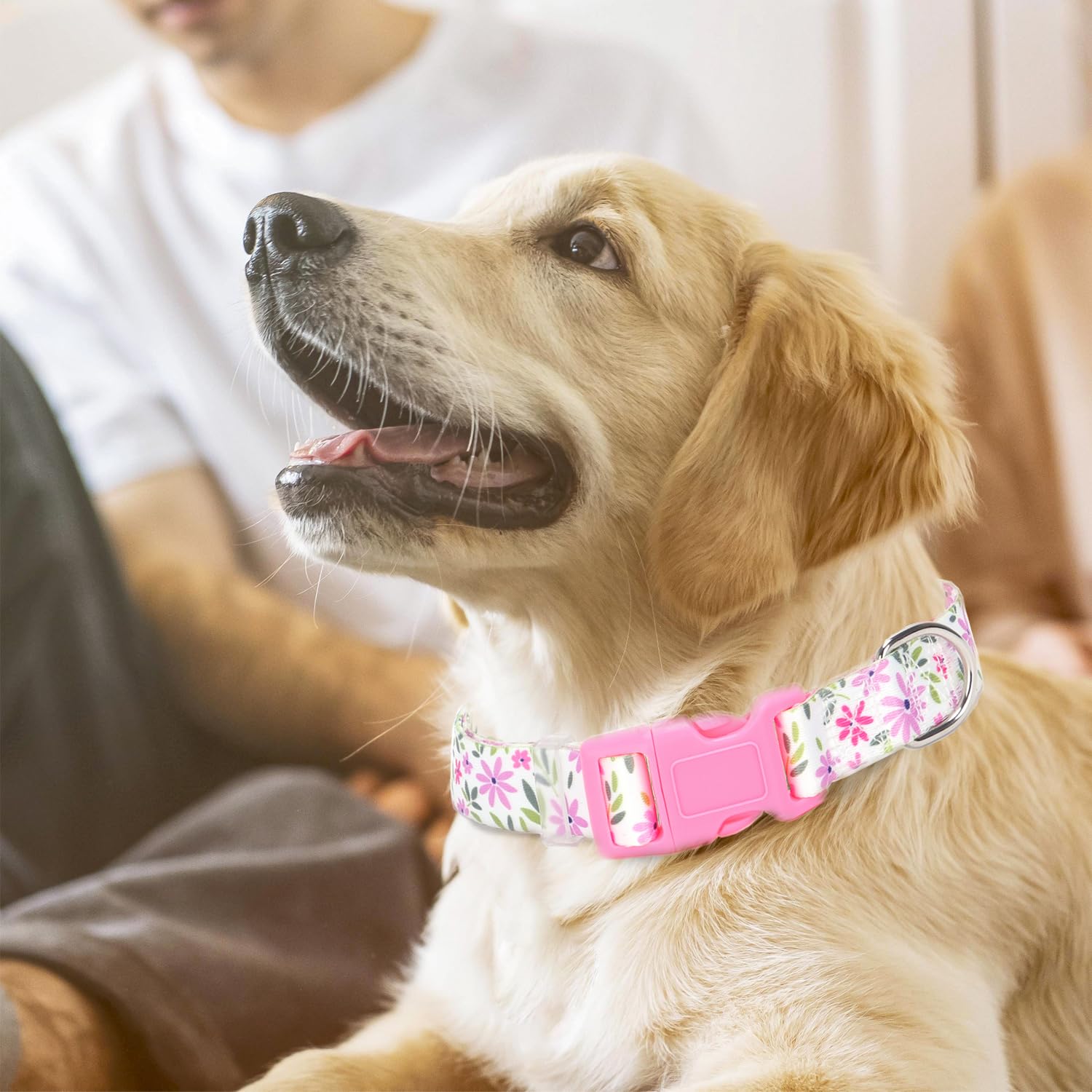 Small Dog Collar For Girl, Dog Collar With Flowers Patterns, Adjustable Comfy Soft Durable Pet Collar For Xs Small Medium Large