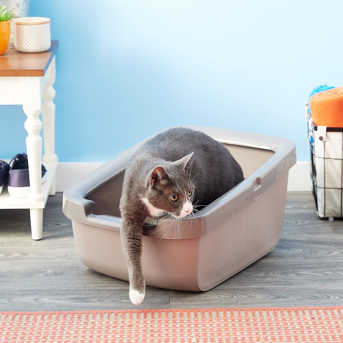 Catit Litter Pan With Rim, Warm Grey