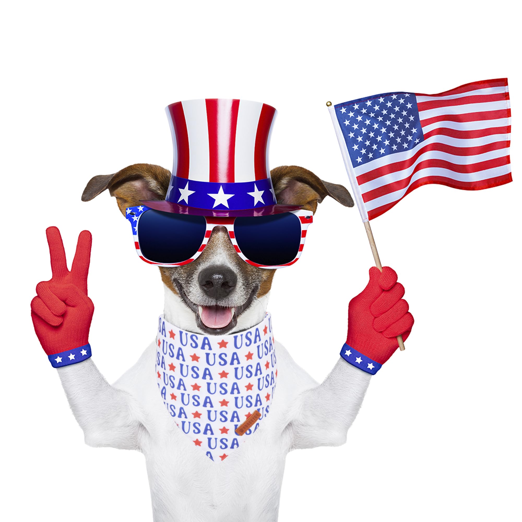 ADOGGYGO 4th of July Dog Bandanas, American Flag Pet Scarf, Multi Size Offered, White Blue Flag Bandana for Small Dogs Pets (Sma