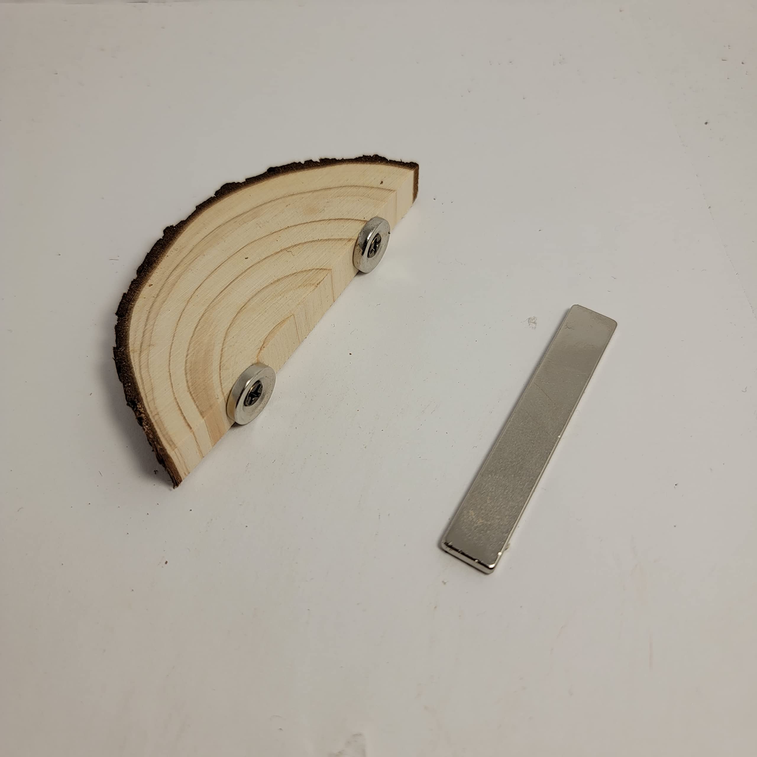 1 Pc. Magnetic Arboreal Ledge | Jumping Spider Ledge | The Critters Cave (Stronger But Longer: Larger External Magnets)