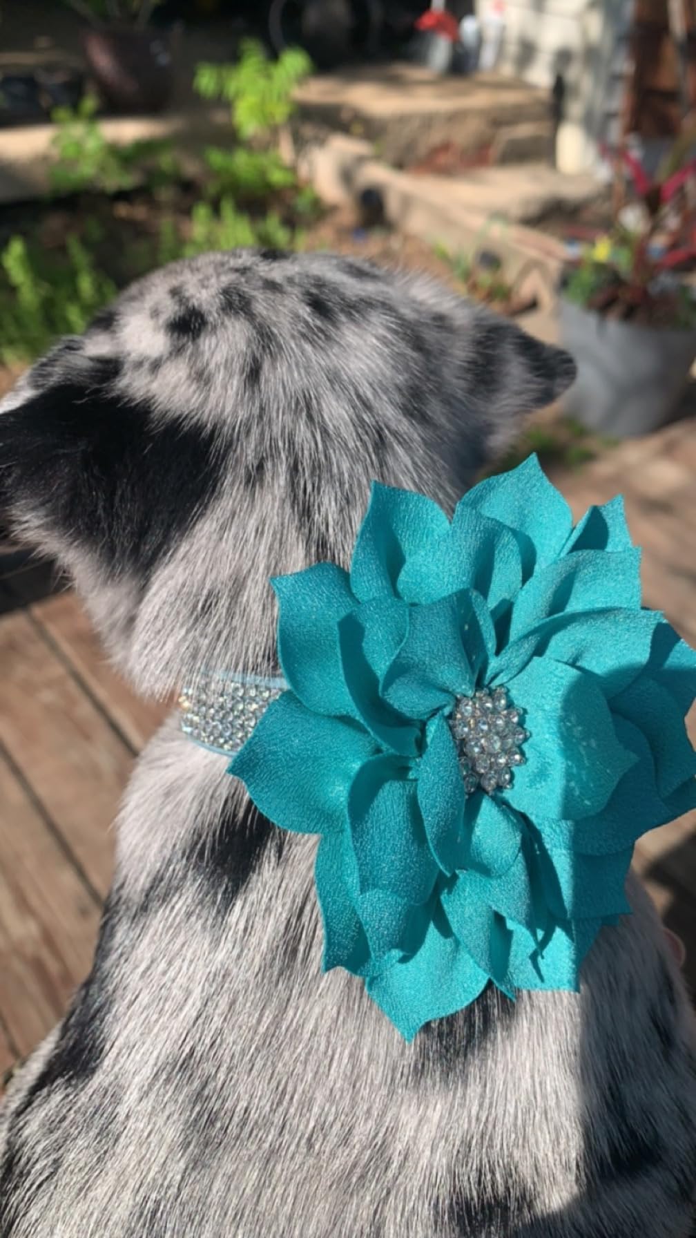 Haoyueer Cute Dazzling Sparkling Soft Suede Leather Dog Rhinestone Collar, Crystal Diamond Buckle, Blue, Xs