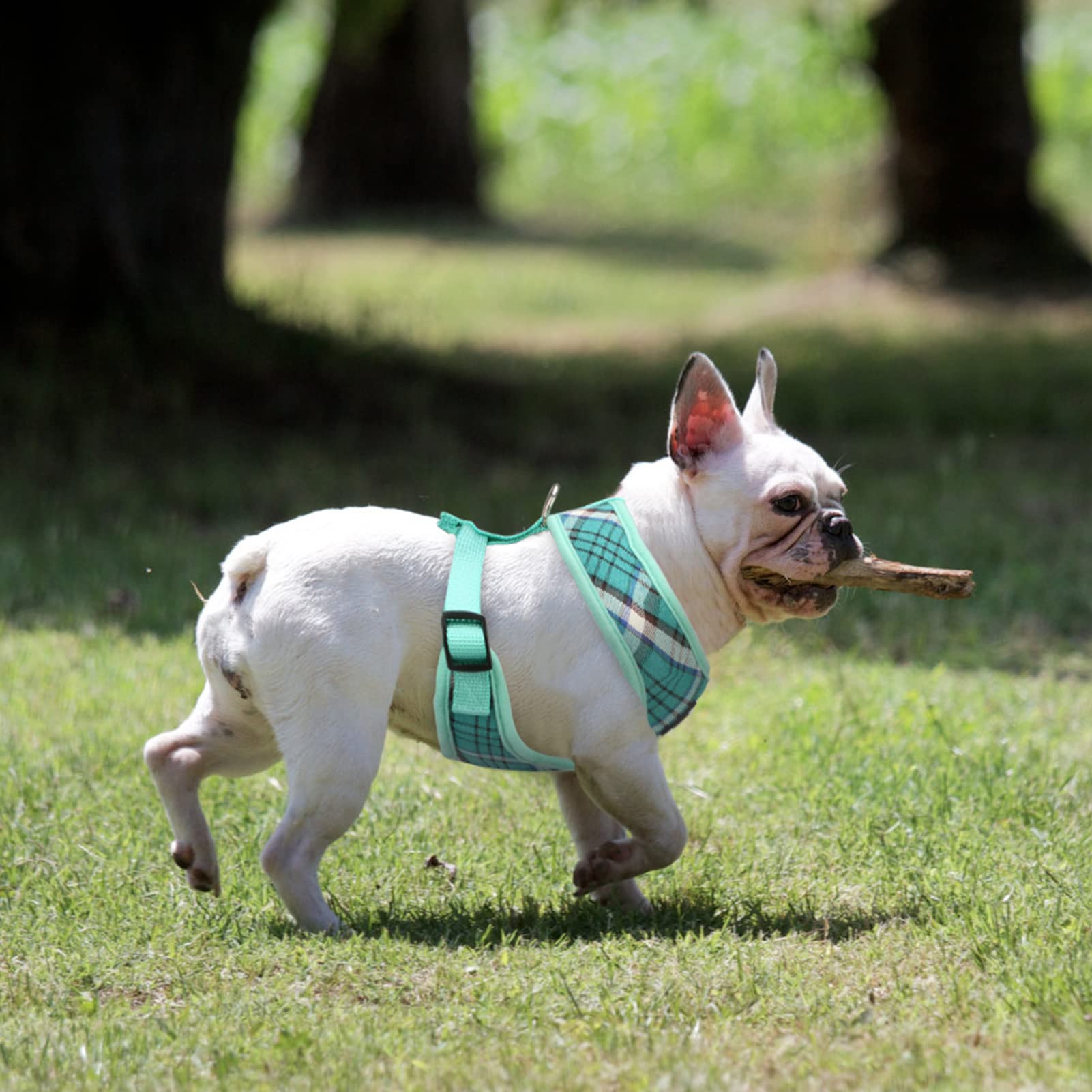 Pupteck Soft Mesh Dog Harness And Leash Set Pet Puppy Cat Comfort Padded Vest No Pull Harnesses, Green, M