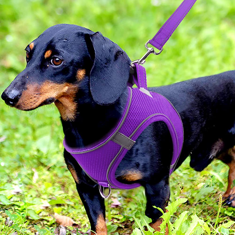 Joytale Step In Dog Harness,12 Colors,Breathable Mesh Vest Harness,Reflective Soft Padded Harnesses For Small And Medium Dogs,Purple,M
