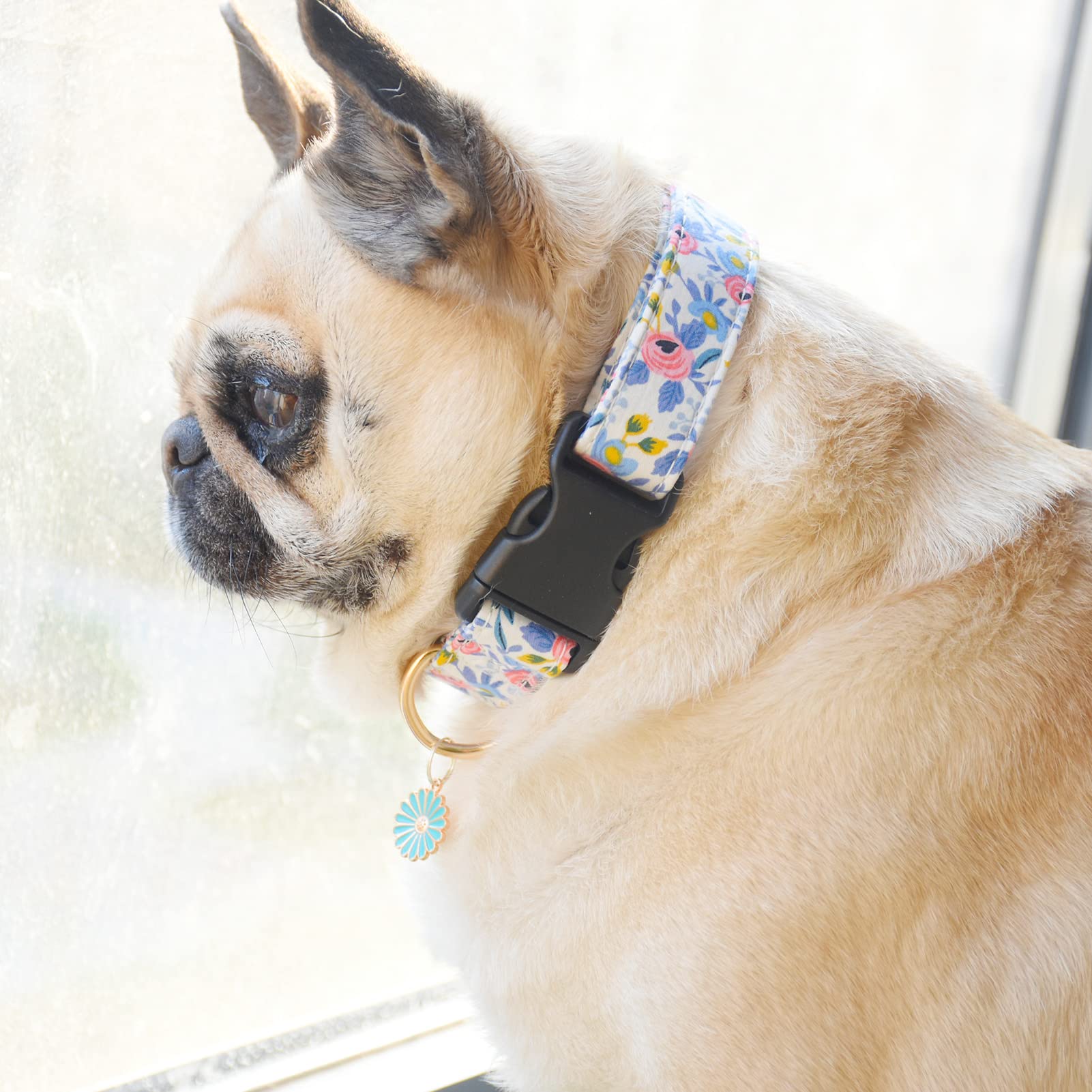 2 Pcs Cotton Dog Collar Soft Cute Flower -3 Sizes Soft Nylon Puppy Collar Adjustable For Girl Female Small Medium Large Dogs (M(