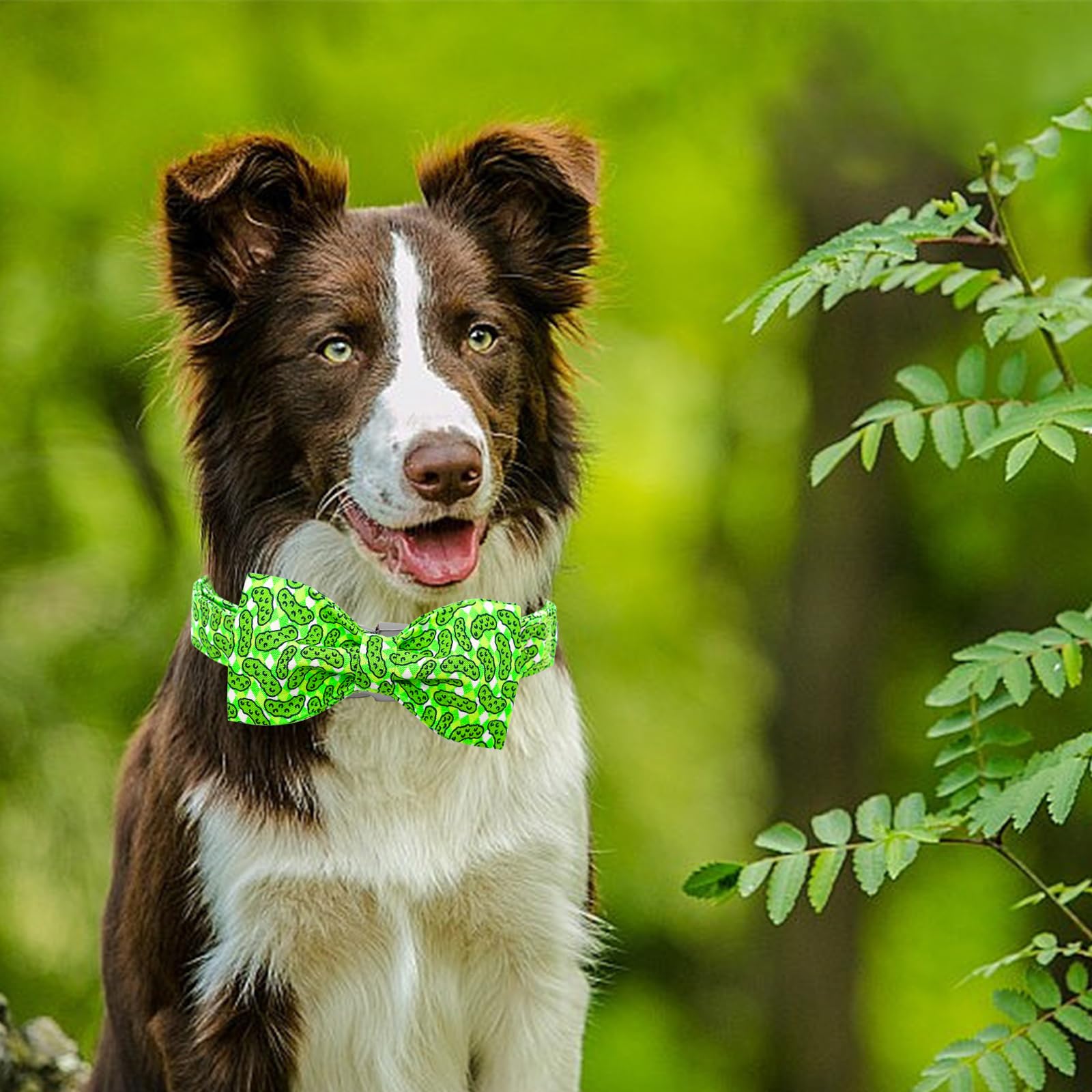 Lionheart Glory Dog Bow Collar - Cucumbers Print, Adjustable Green Collar with Bowtie for Large Dogs
