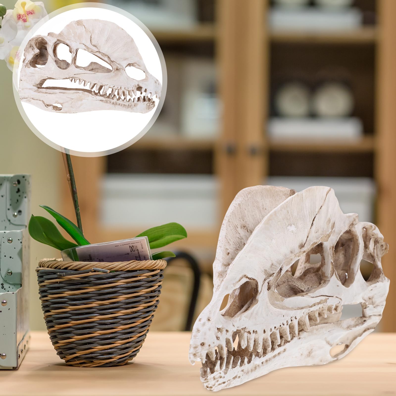 Nuobesty Resin Dinosaur Skeleton Aquarium Decoration Dinosaur Skull Skeleton Ornament Fish Tank Aquarium Terrarium Decoration