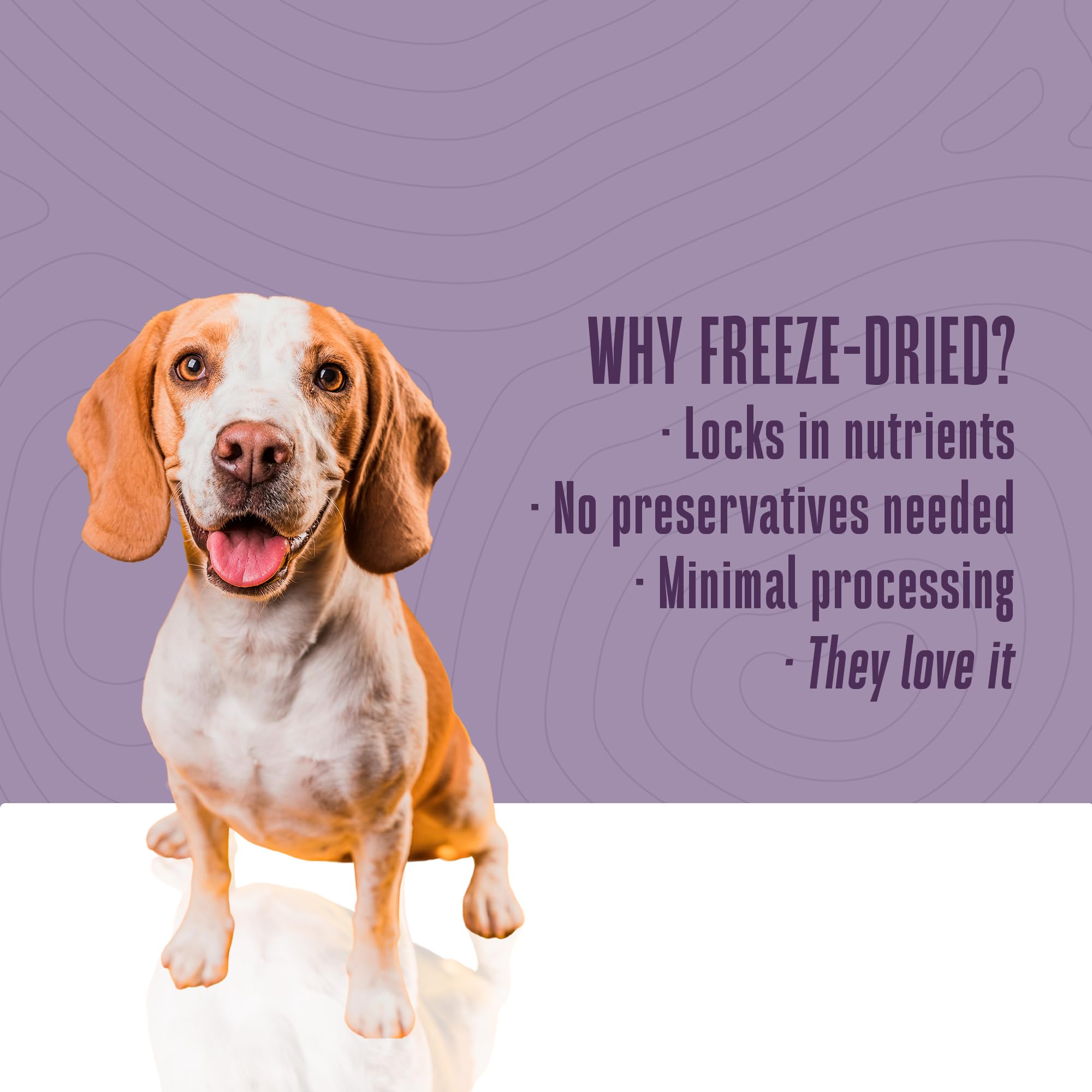 Whole Life Dog Just One Turkey Freeze Dried Dog Treats - Human Grade High Protein Food, Healthy Training Snacks, Freeze Dried Fo