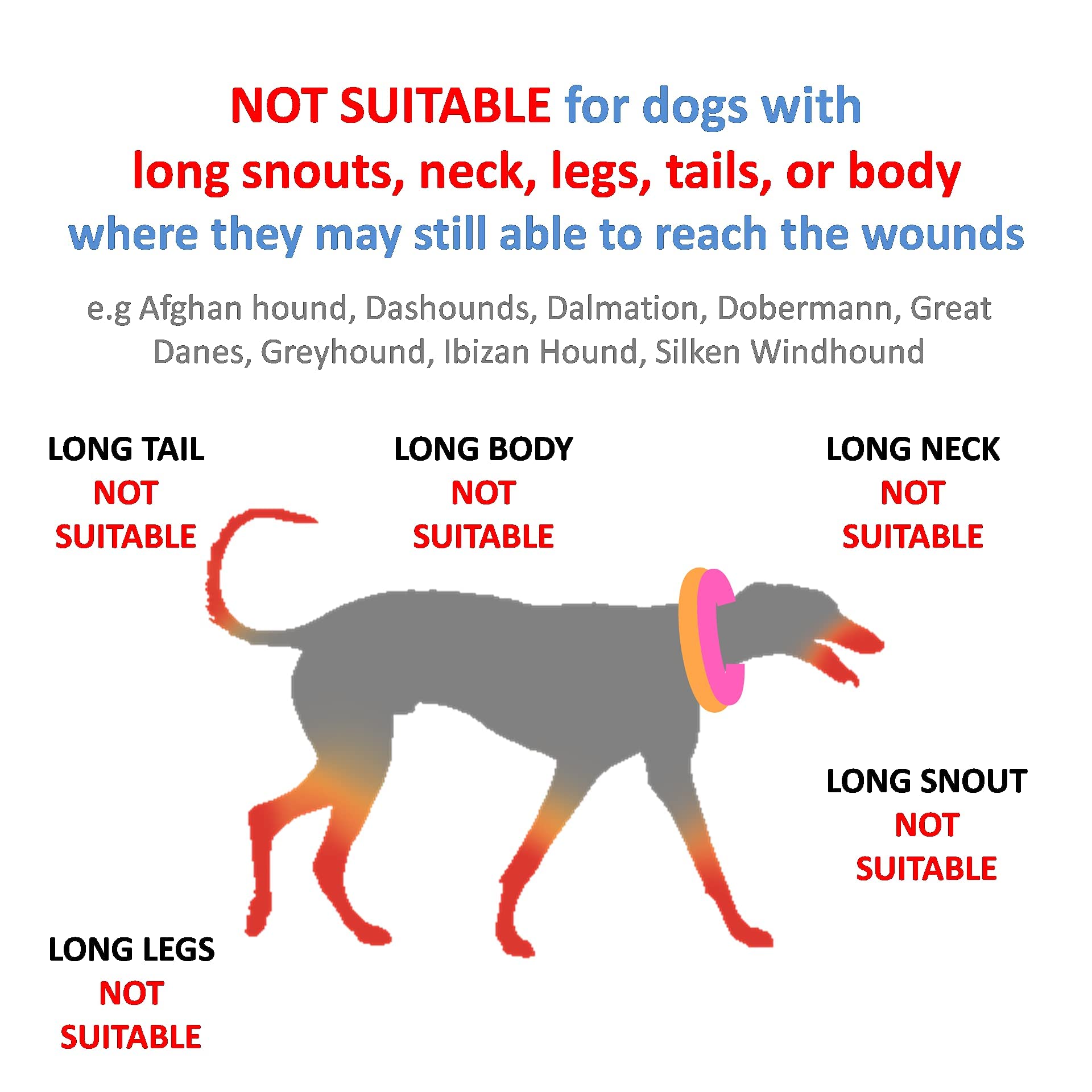 BusyPet Inflatable Dog Neck Donut Collar - Fleece Recovery Collar for Dogs, Medium Size, Donut Design