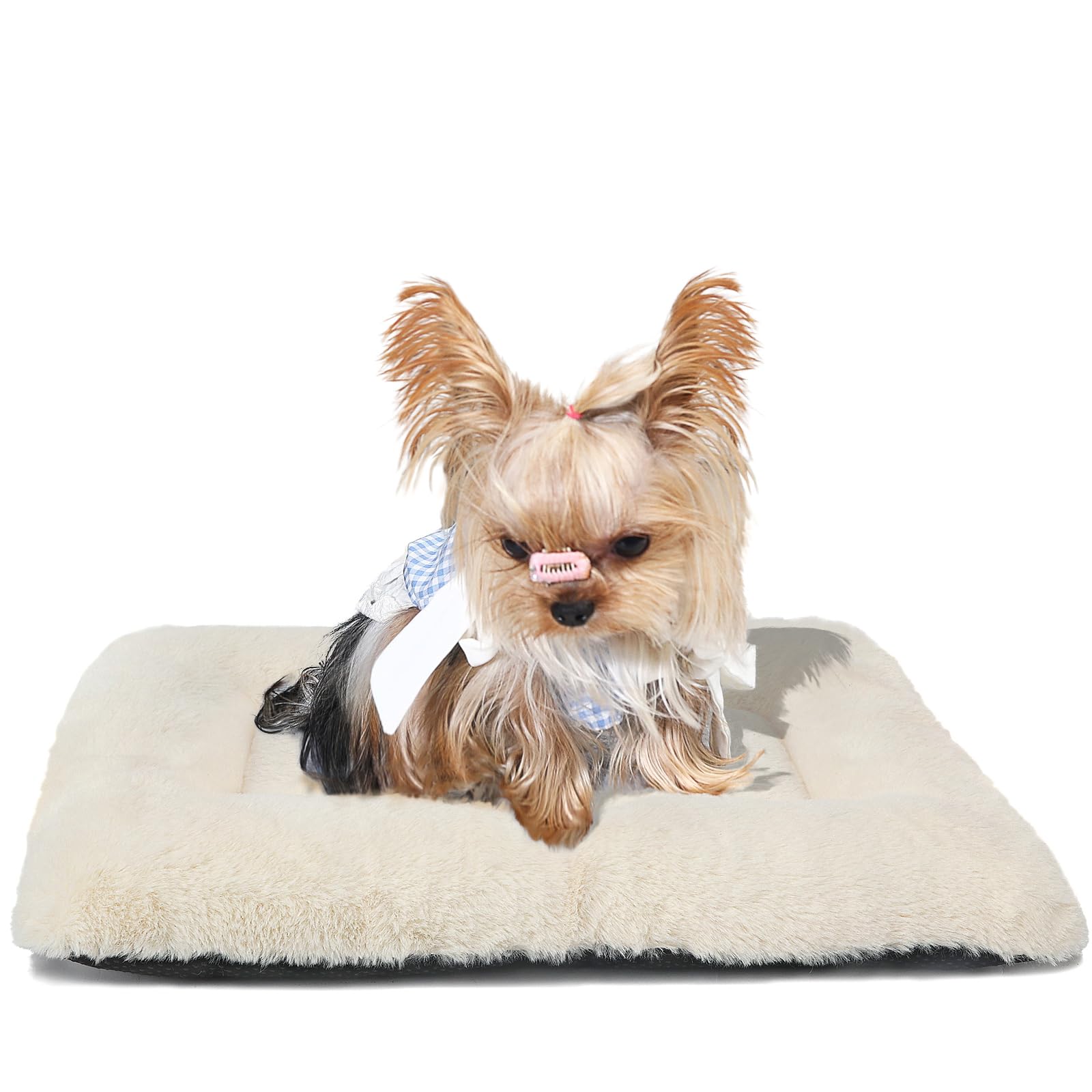 Dog Crate Bed 18 X 12 Washable Dog Beds For Xx-Small Dogs Deluxe Thick Soft Fluffy Comfy Kennel Pad Anti-Slip & Anti-Scratch Pet