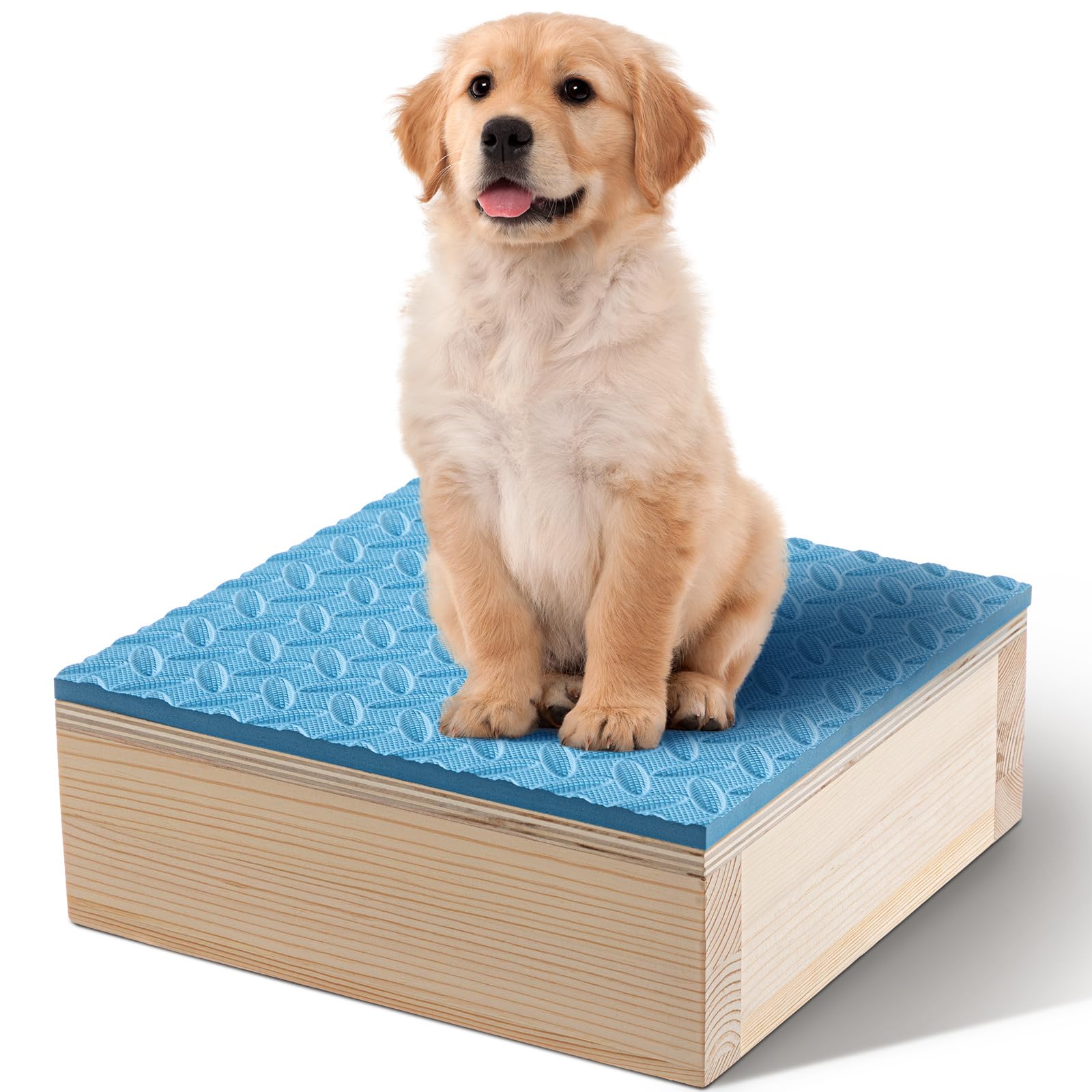 Chunful Dog Training Platform Non-Skid Surface Place Board for Dog Portable Agility Training Equipment Pivot Box for Indoor or O