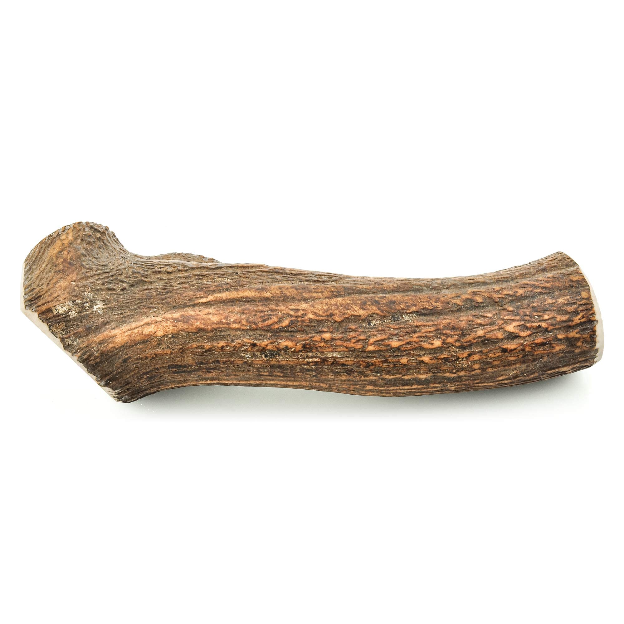 Barkworthies Hand Selected Naturally Shed Extra Large Whole Elk Antler (Single Antler) - Long Lasting, Odor Free Dog Chew For Xl