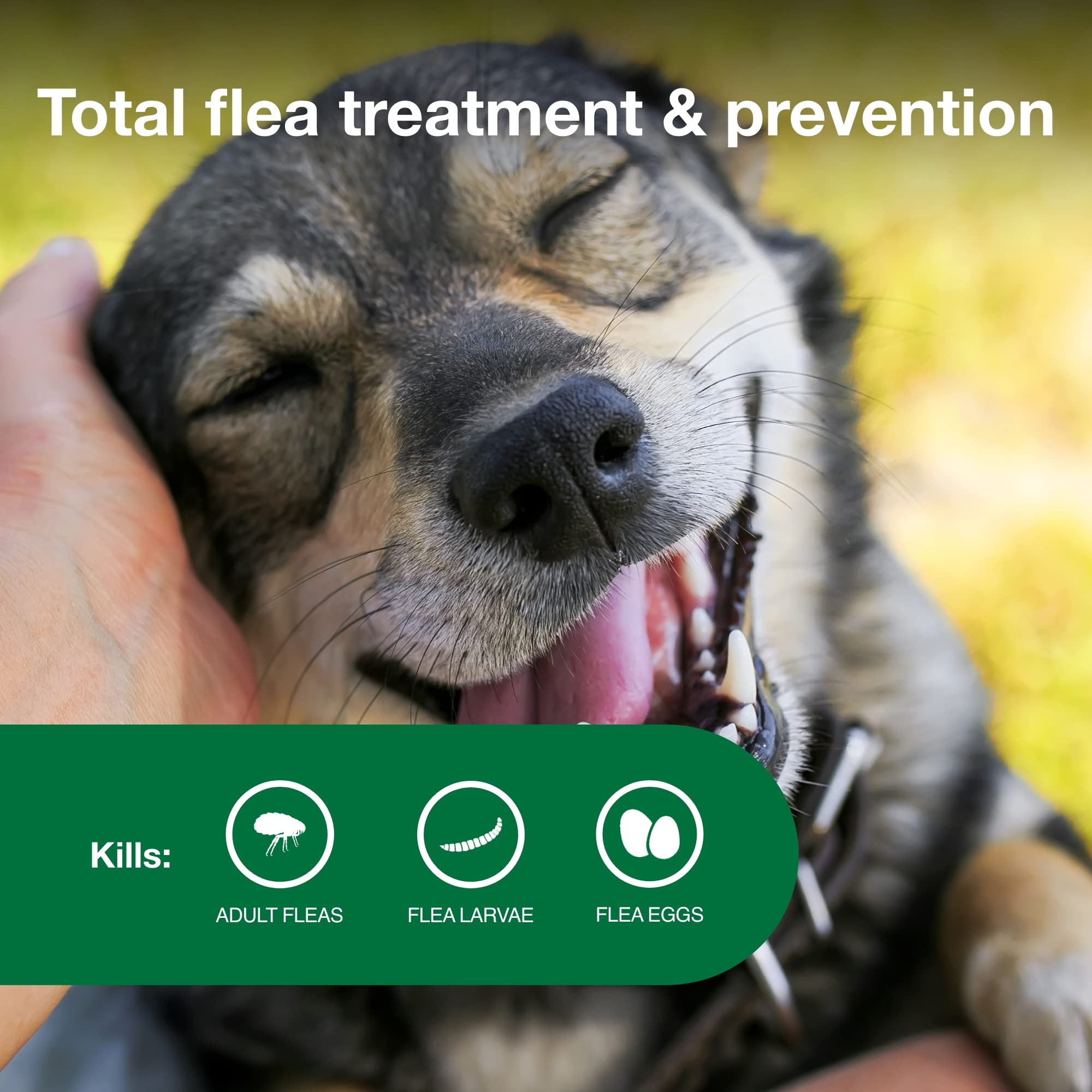 Advantage II Medium Dog Vet-Recommended Flea Treatment & Prevention | Dogs 11-20 lbs. | 6-Month Supply