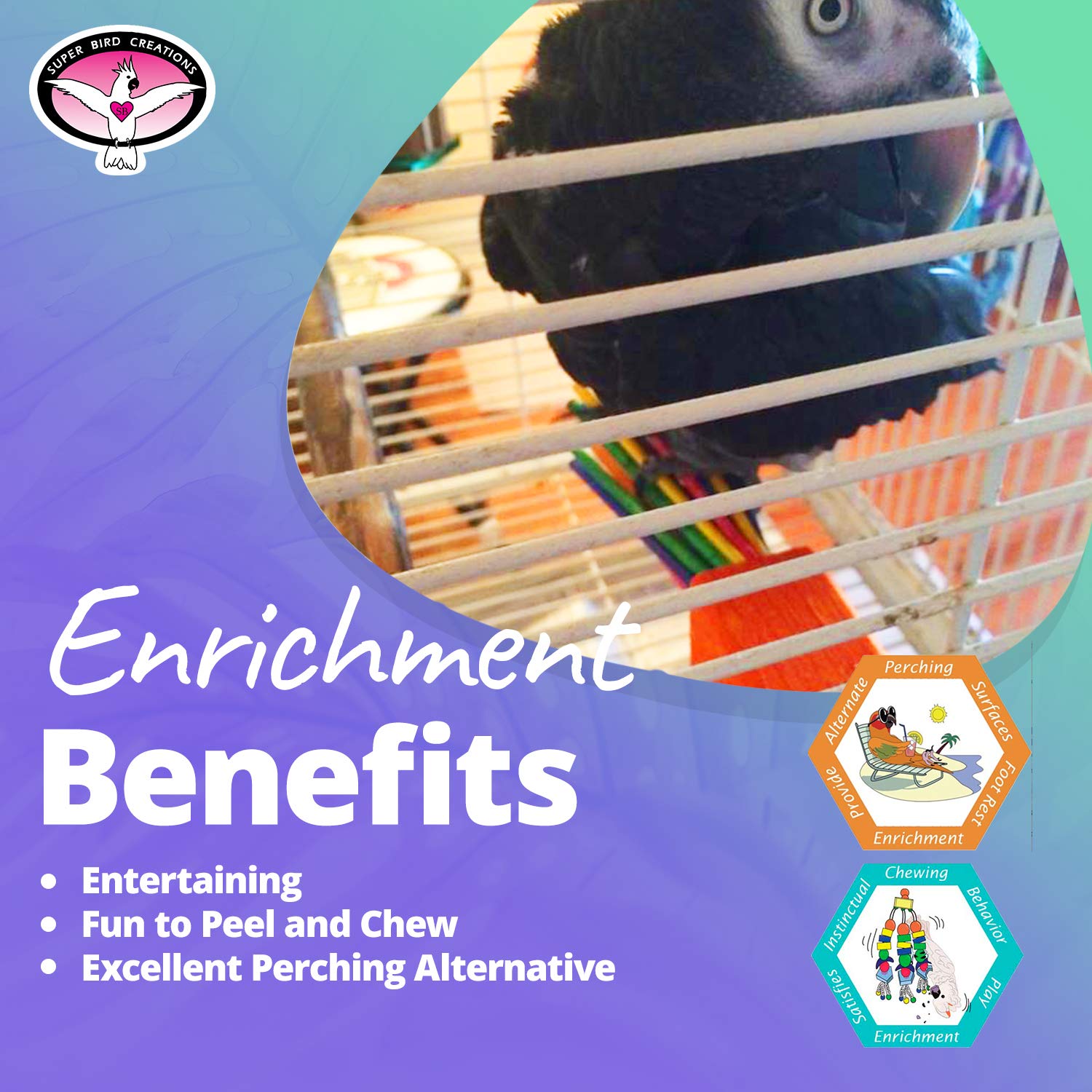 Super Bird Creations - Sb301 Chewable Paper Party Bird Toy With Colorful Lollipop Sticks - Ringnecks Medium Conures Parrot - Chew Enthusiasts - Enriching Bird Toys For Medium To Large Birds - 1-Pack