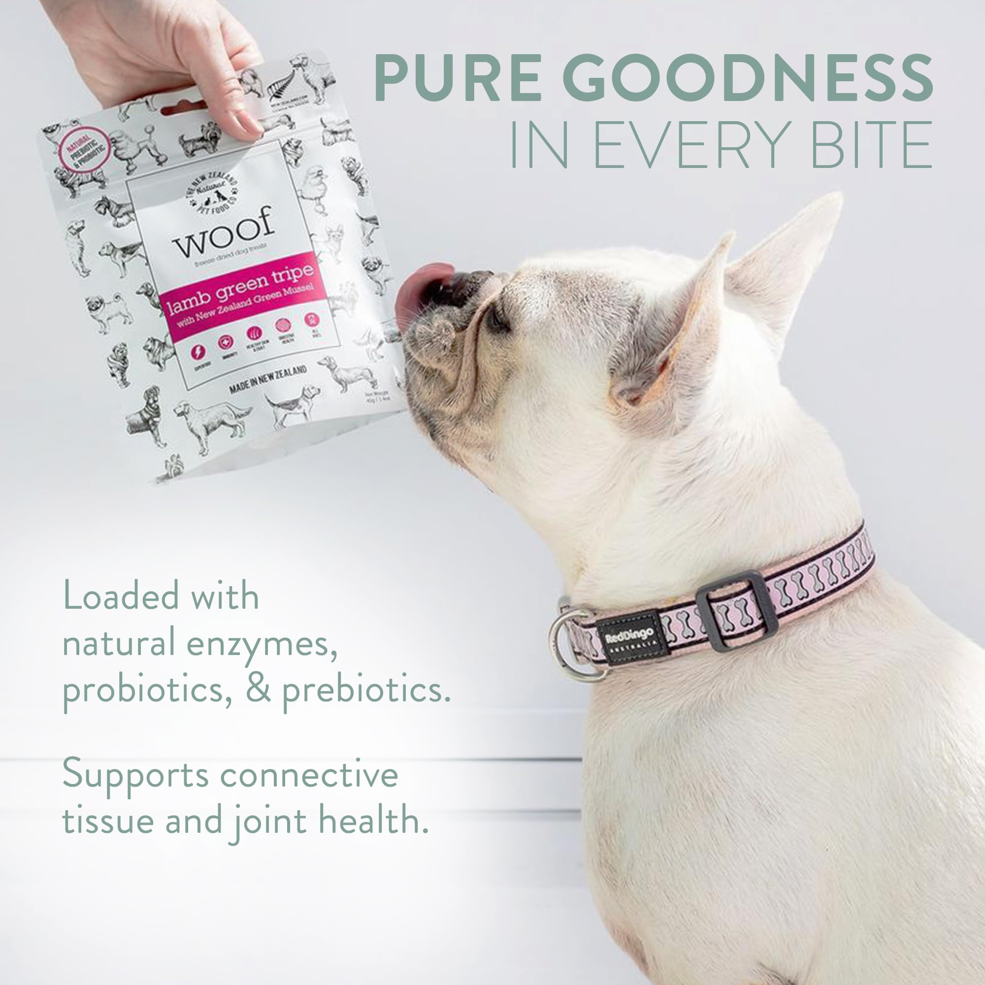 The New Zealand Natural Pet Food Co WOOF Freeze Dried Dog Treats - Lamb Green Tripe, High Protein, Large & Small Dog, Topper or