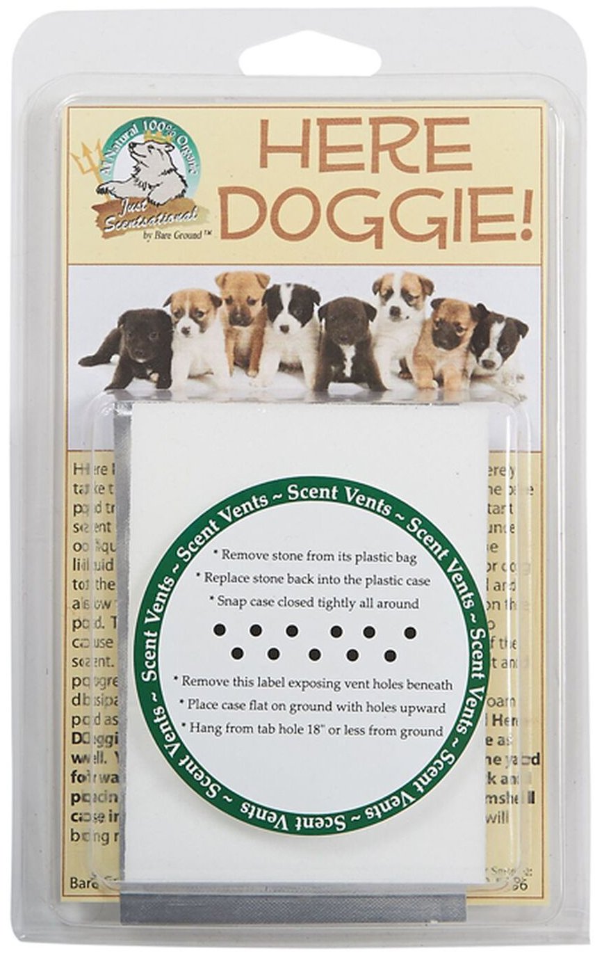 Just Scentsational HD-1 Here Doggie! Indoor Dog Training Scented Stone