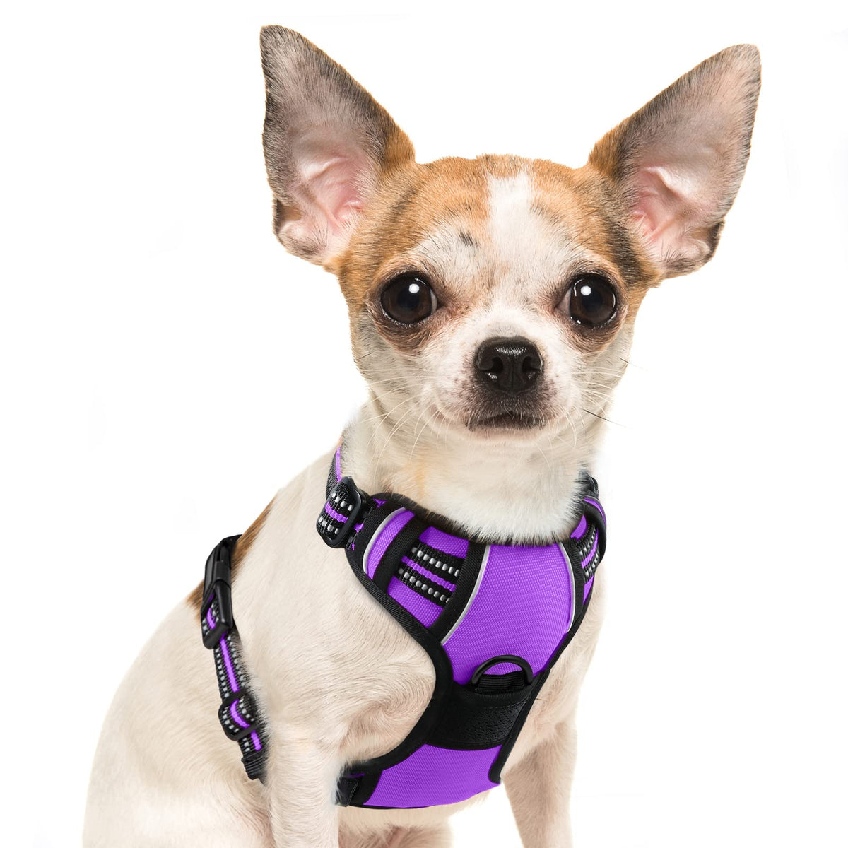 Eagloo Dog Harness Small Sized Dog, No Pull Service Vest With Reflective Strips And Control Handle, Adjustable And Comfortable For Easy Walking, No Choke Pet Harness With 2 Metal Rings, Purple, S