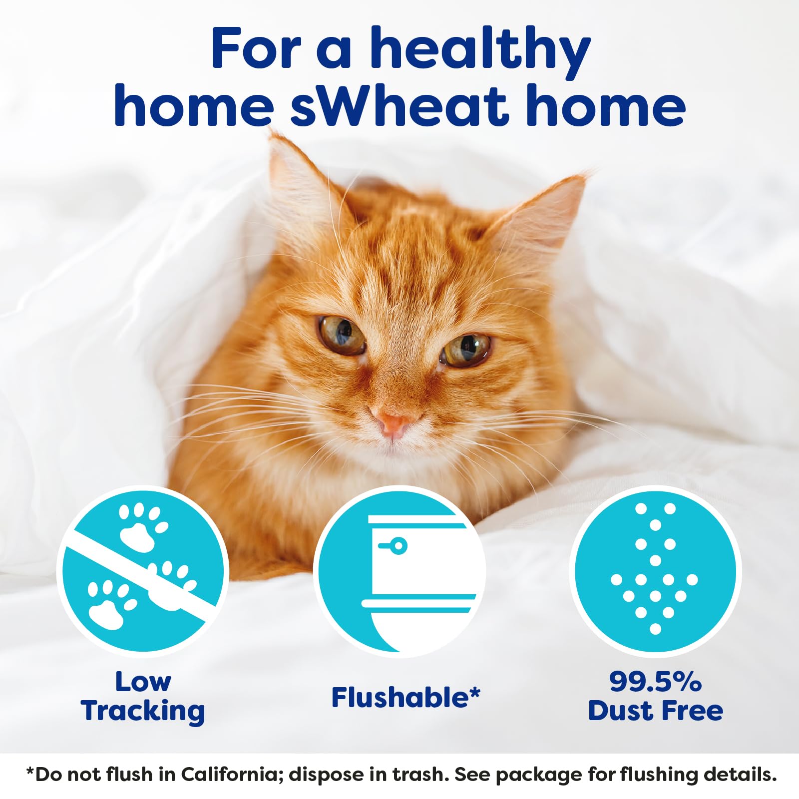 Swheat Scoop Natural Wheat Cat Litter, Original, Fast Clumping With Odor Neutralizing Enzymes, 25 Pound Bag