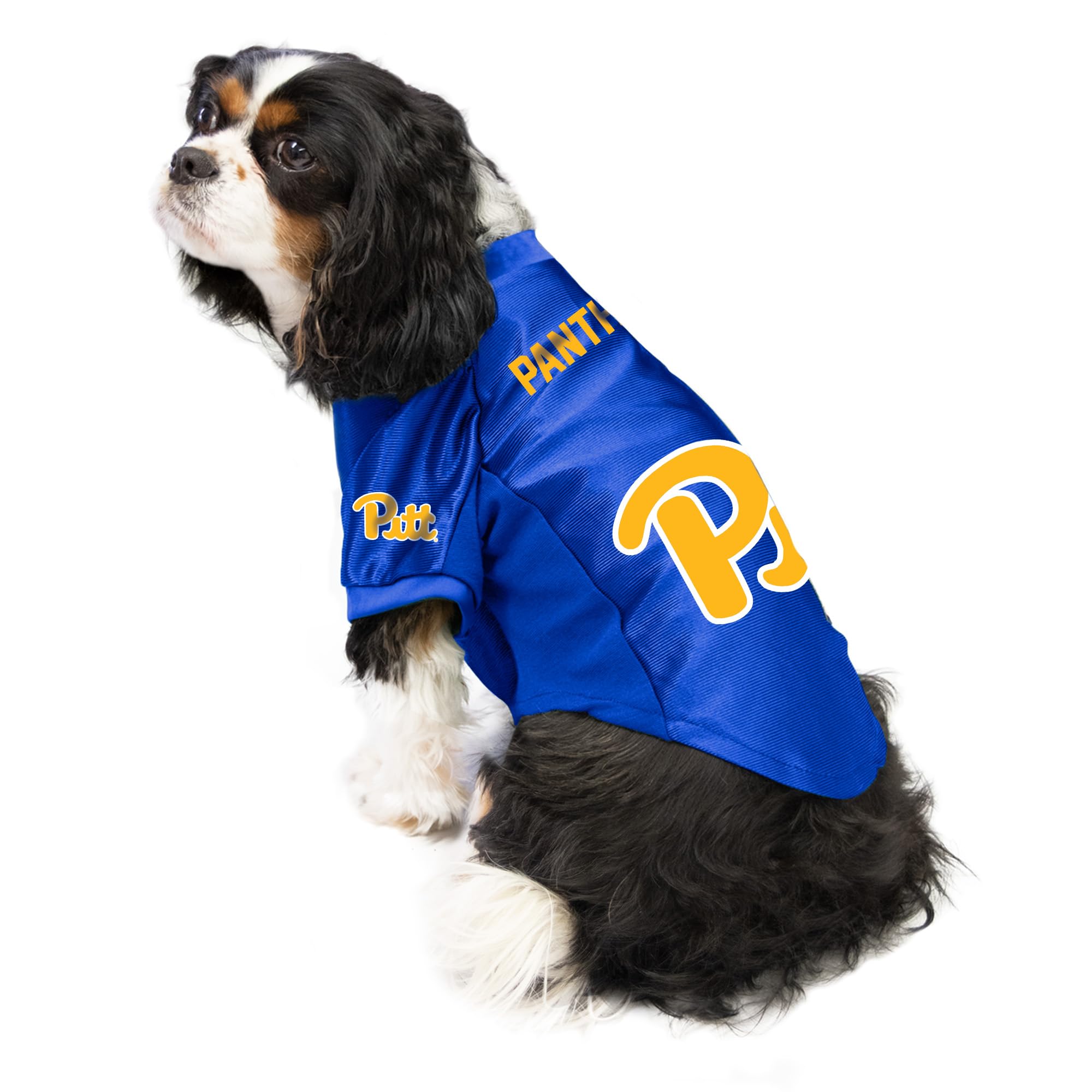 Littlearth Pittsburgh Panthers NCAA Stretch Pet Jersey
