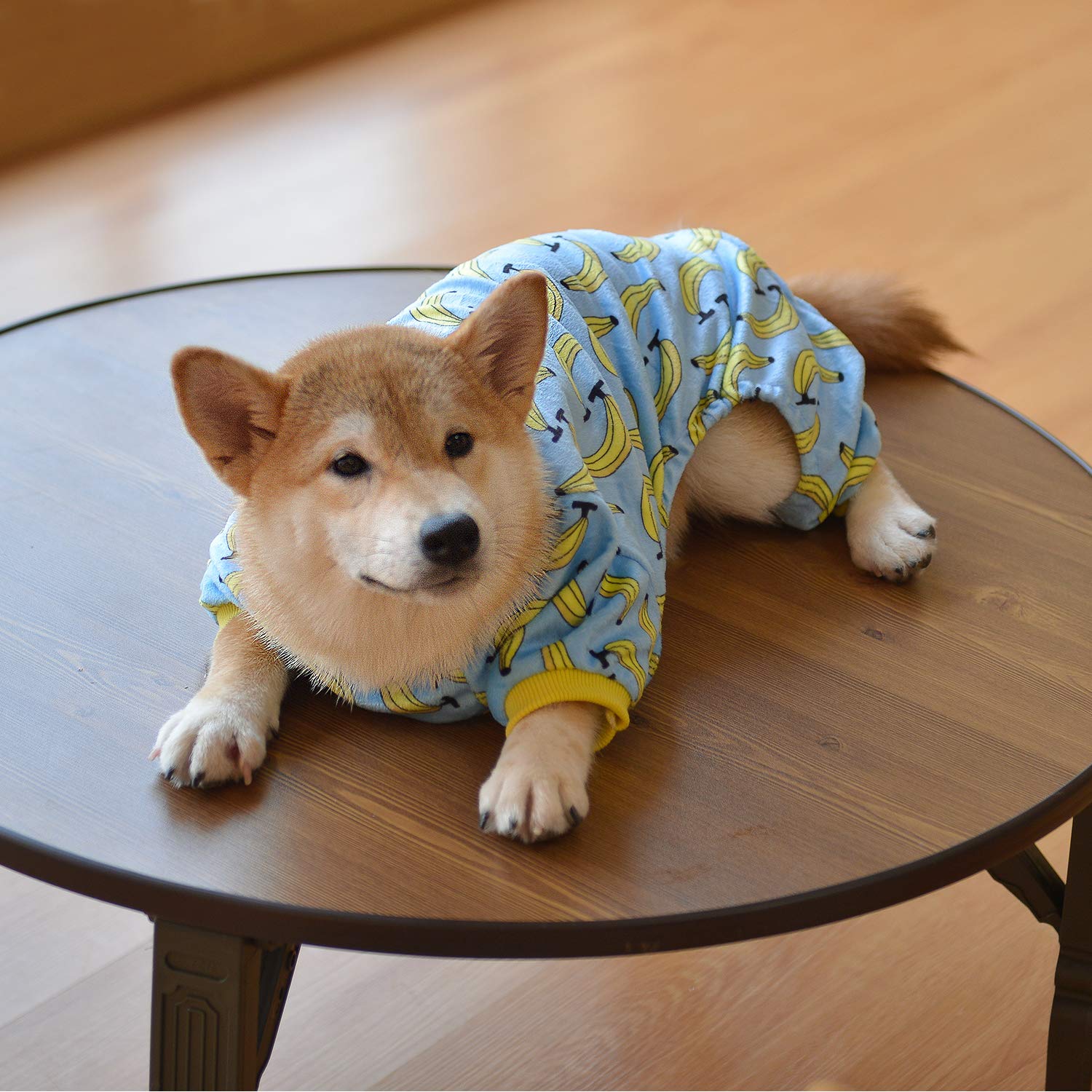 Cutebone Dog Pajamas For Small Dogs Soft Cat Clothes P06Xxl