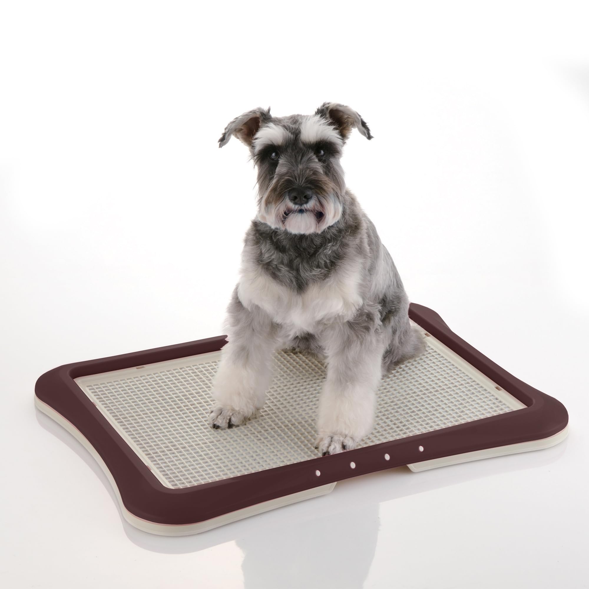Richell Paw Trax Mesh Training Tray, Brown 25.2 X 18.9 X 1.6' | Richell Paw Trax Mesh Training Tray: Puppy Potty Pad Holder For Indoor Use, Anti-Chewing And Tearing, Ideal For Potty Training Puppies
