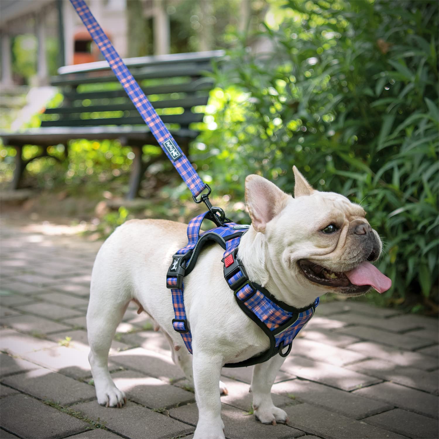 Poypet 5 Feet Dog Leash With Padded Handle For Small Medium And Large Dogs (Checkered Blue & Orange)