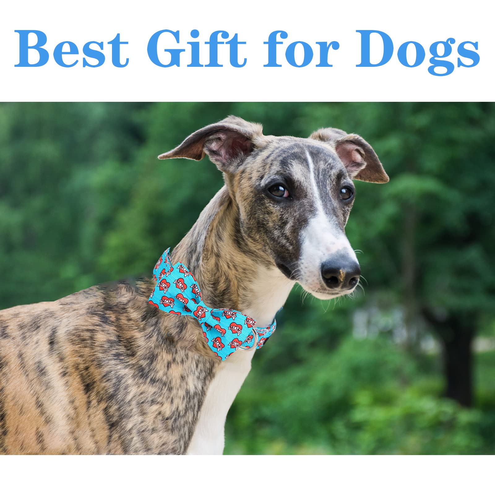 Unique Style Paws Valentine'S Day Dog Collar With Bow Tie Blue Heart Puppy Collar Best Gift For Small Medium Large Boys Girls-M