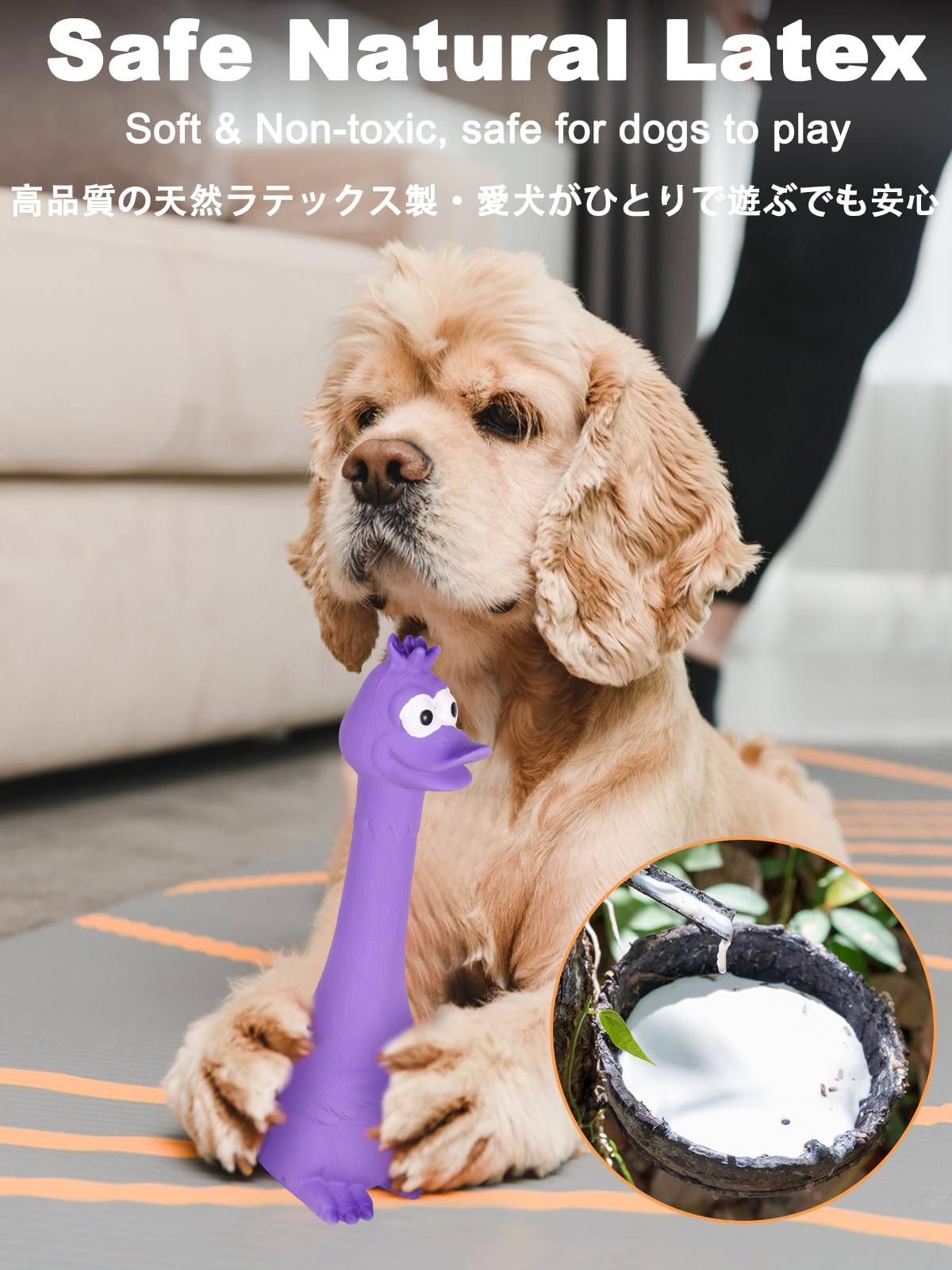 SCHITEC Squeaky Dog Toys, [2 Pack] Squawking Latex Toy with Interactive Squeaker, Squeak Rubber Duck Chicken for Medium Small Do