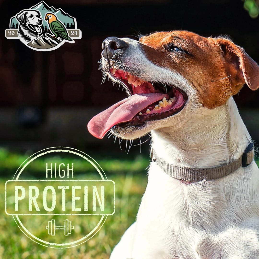 EXQUISITE PETS, LTD. 12 Bully Sticks 3lb-Bag Bulk 100% Brazilian Bull Pizzle Thick Odorless Long Lasting No Grains or Rawhide He