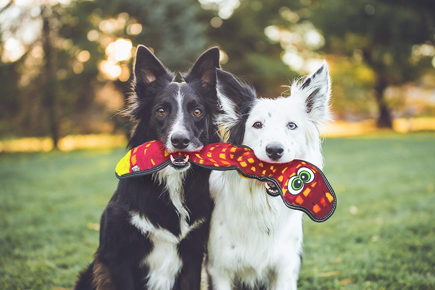 Outward Hound Tough Seamz Snake Plush Dog Toy, XL