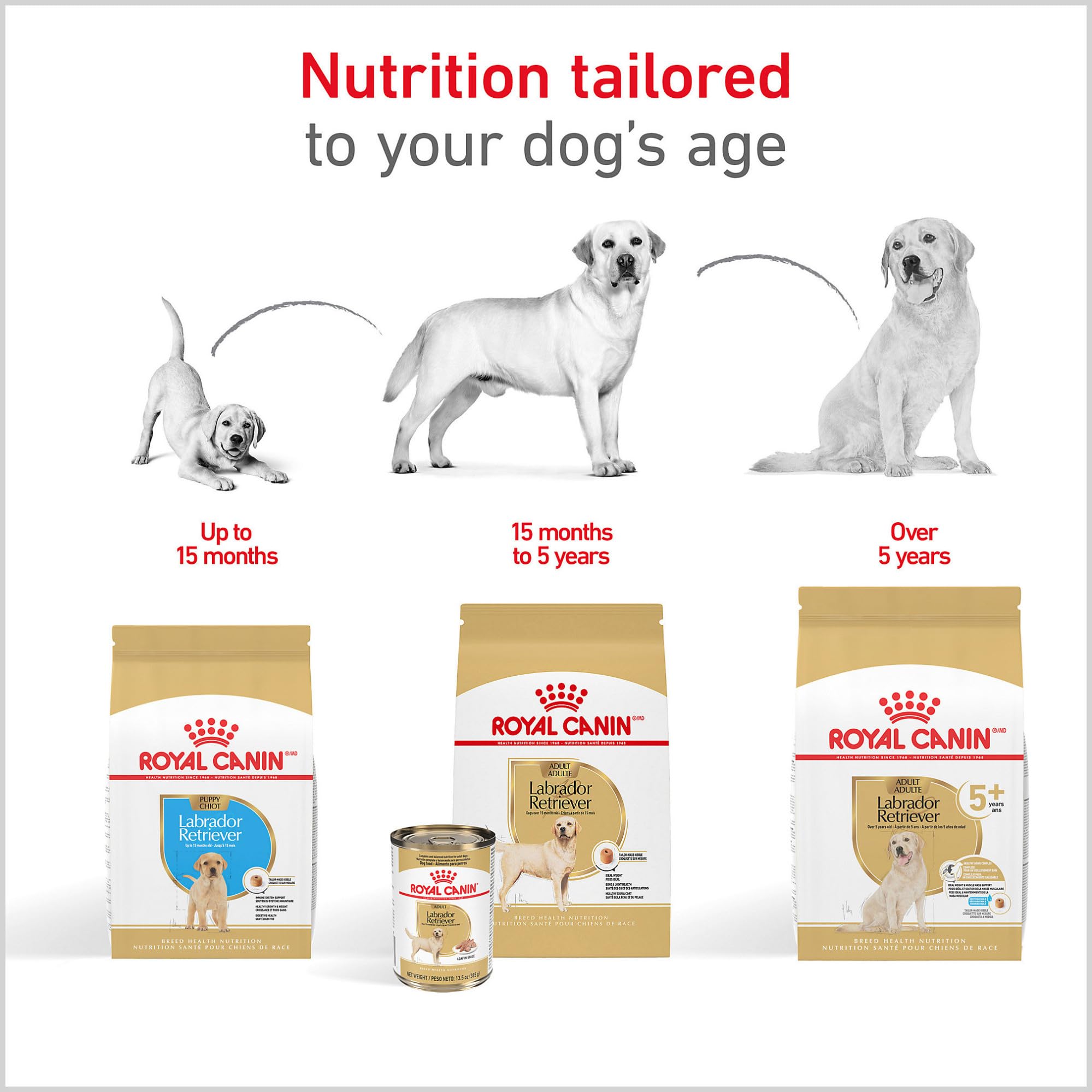 Royal Canin Breed Health Nutrition Labrador Retriever Puppy Dry Dog Food, 30 lb.