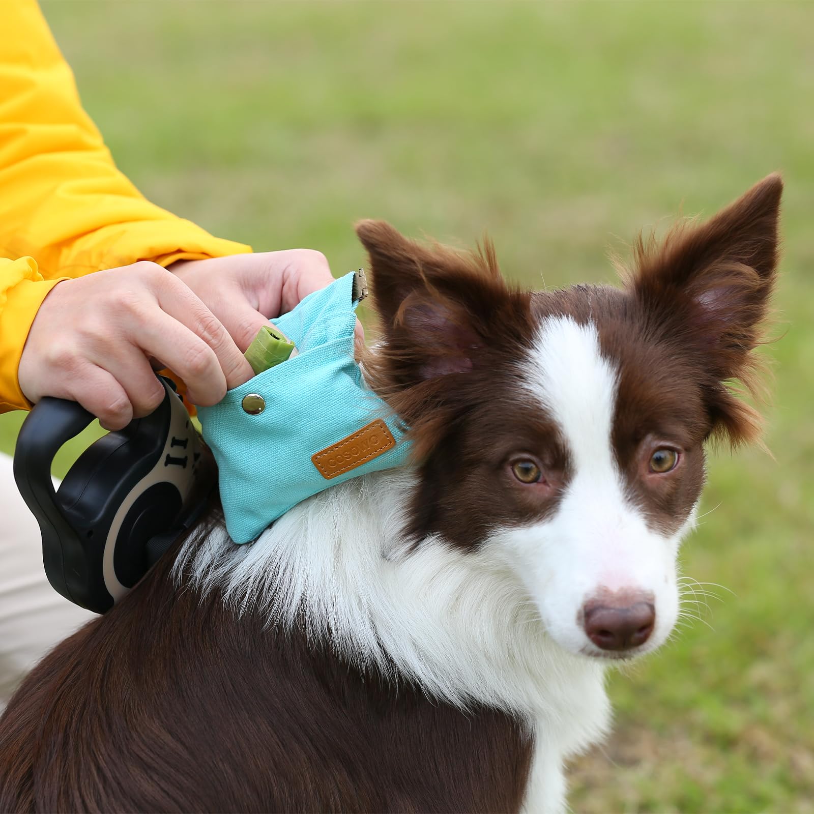 COSOWO Dog Treat Pouch, Hand Free Dog Training Treat Bag with Carabiner & Magnetic Buckle, Auto Closing Dog Walking Bag for Pupp